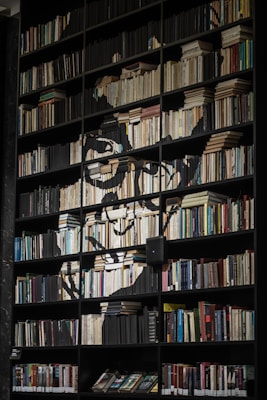 A large bookshelf filled with books of various sizes and colors, organized neatly on multiple shelves. The books themselves form the outline of a face, creating an artistic visual effect. The shelves are predominantly dark, emphasizing the lighter tones of the books.