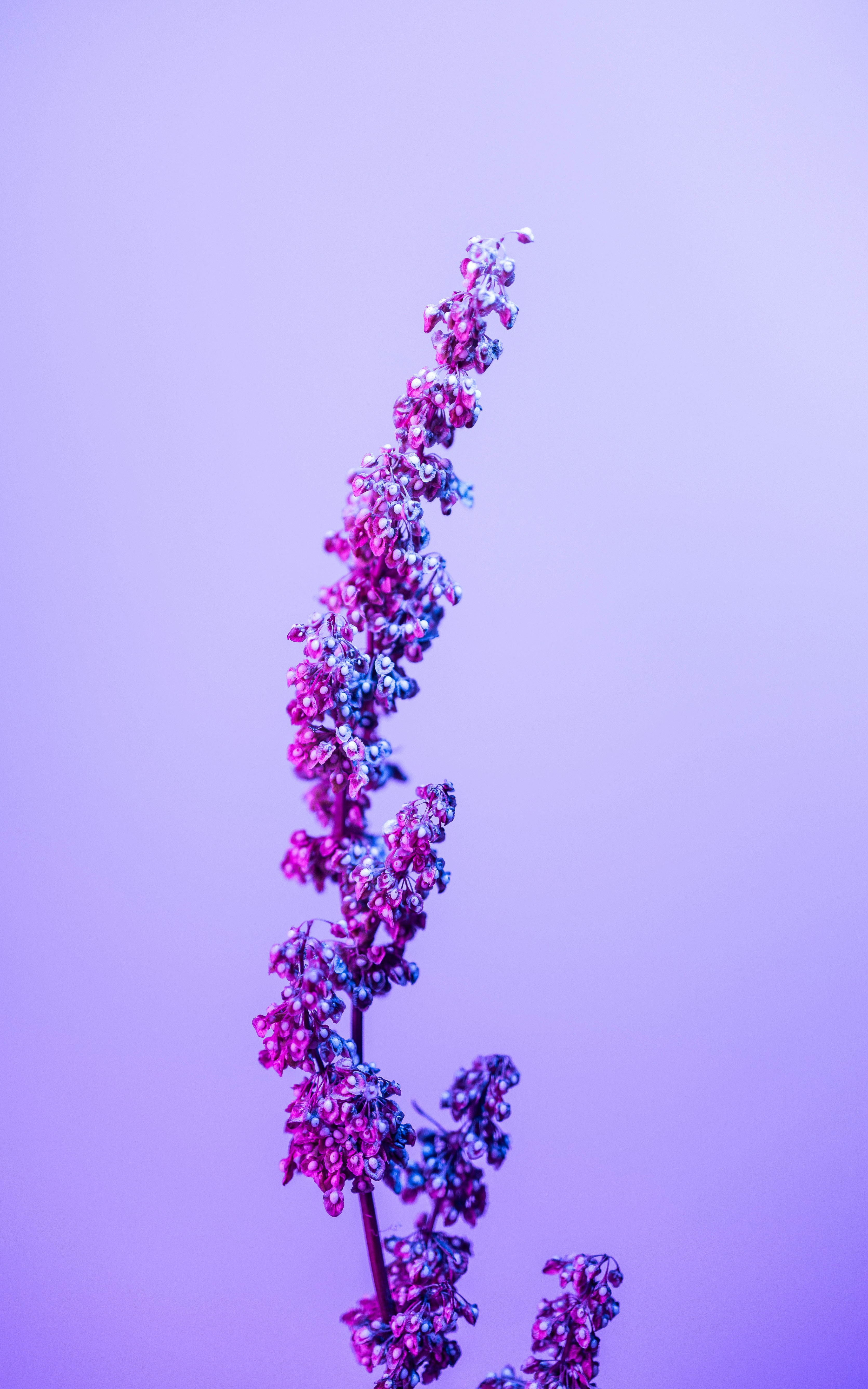 Photo by marekpiwnicki