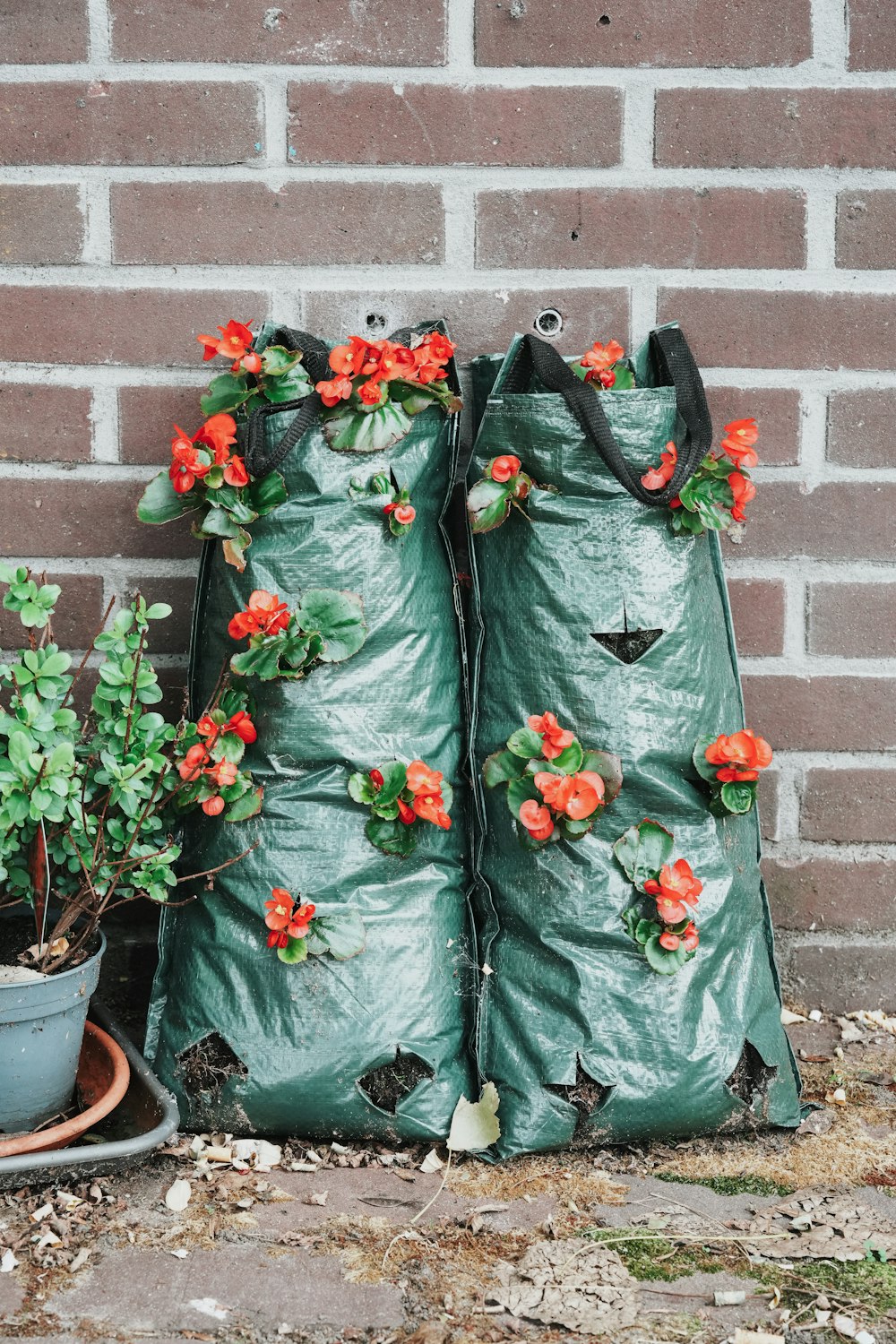 a couple of bags that are next to some flowers