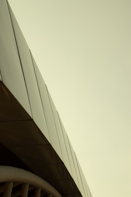 A commercial building with a sleek metal roofing system.