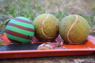 A trio of smooth, shiny tennis balls lined up on fresh green grass.