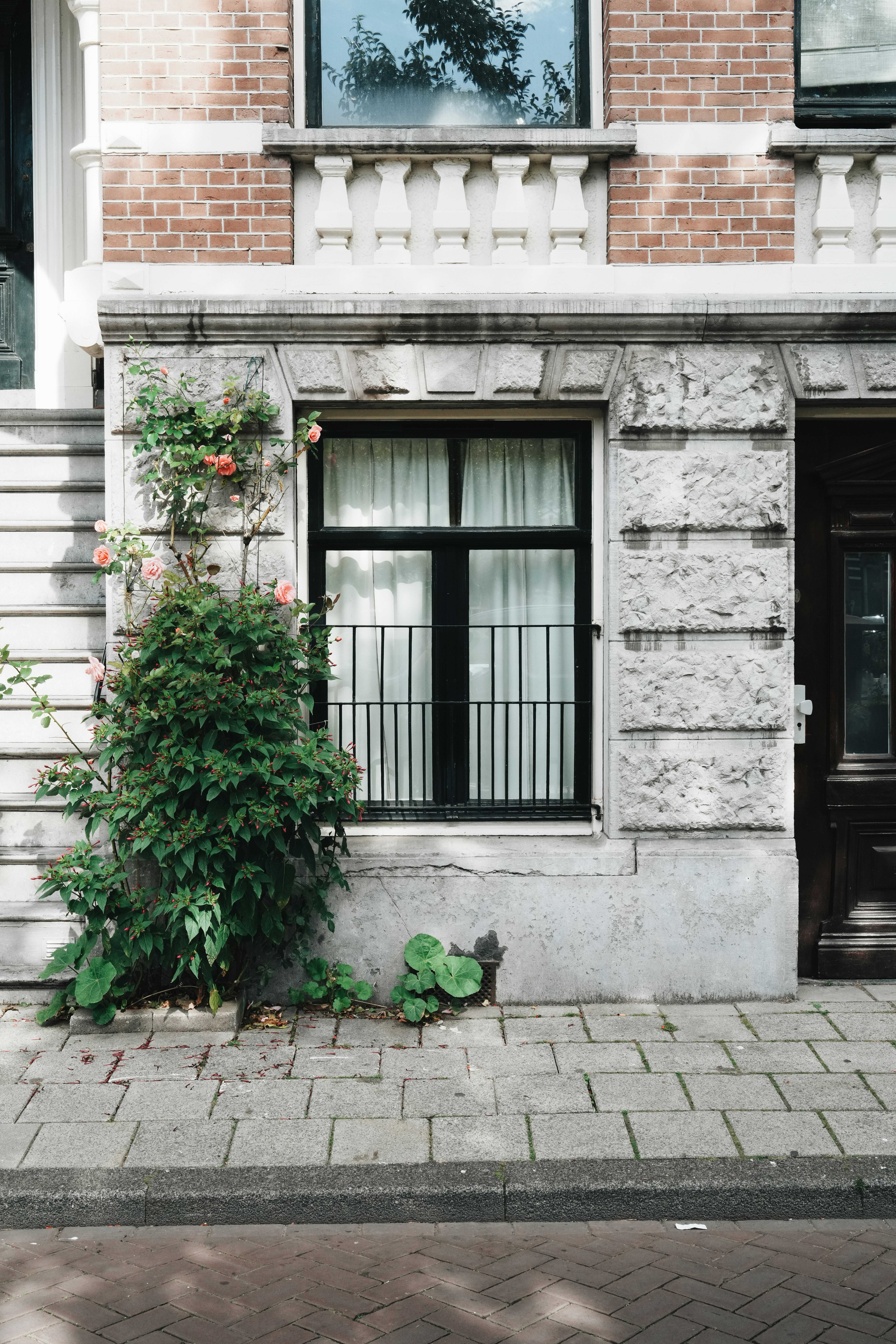 a brick building with a plant growing out of it