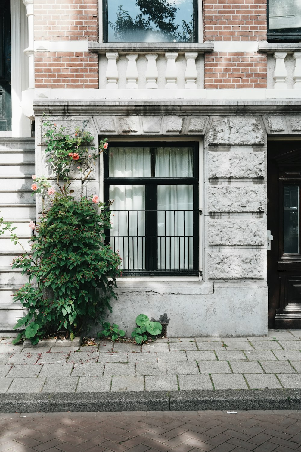 a brick building with a plant growing out of it