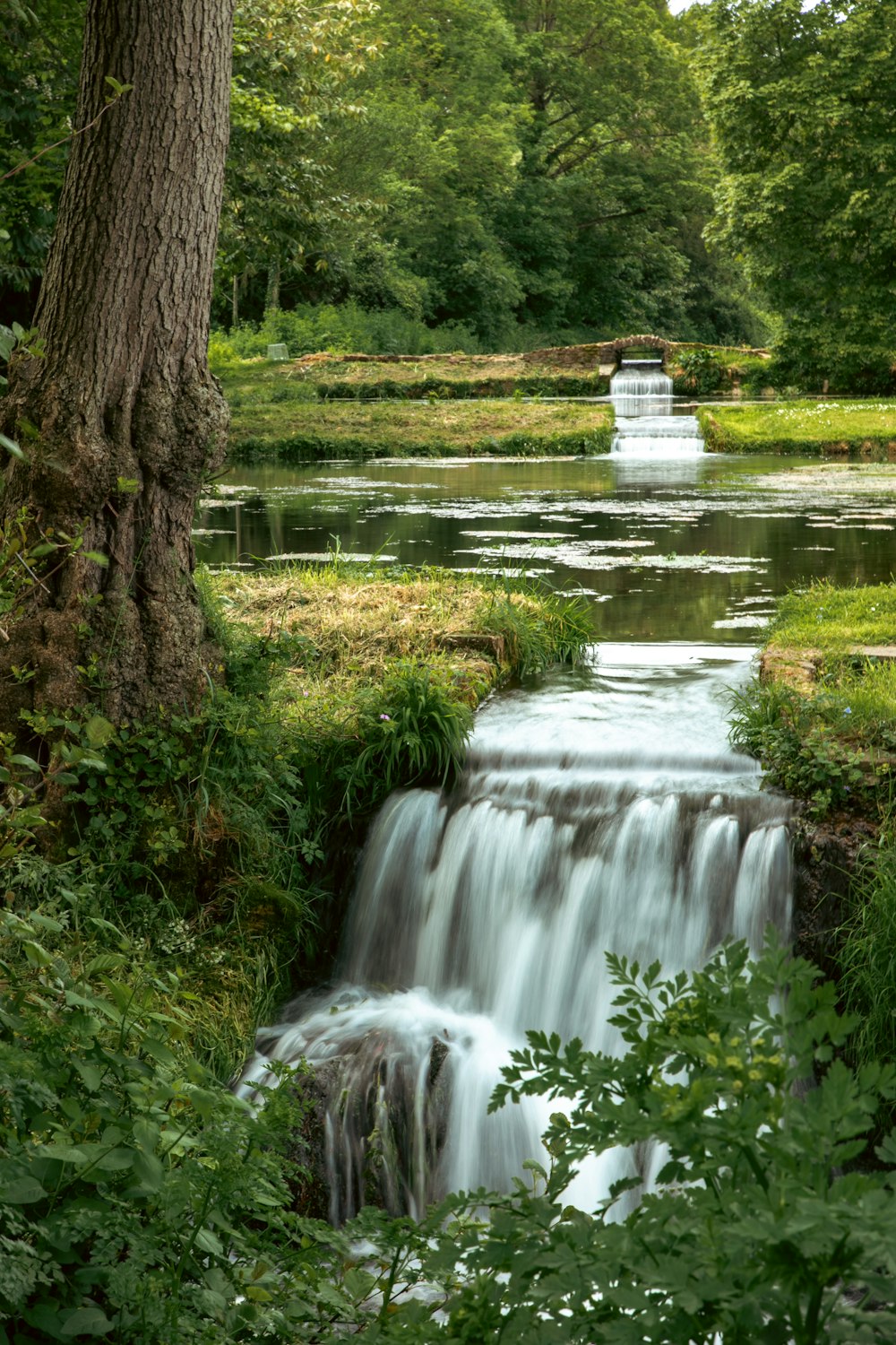 a small waterfall in the middle of a forest