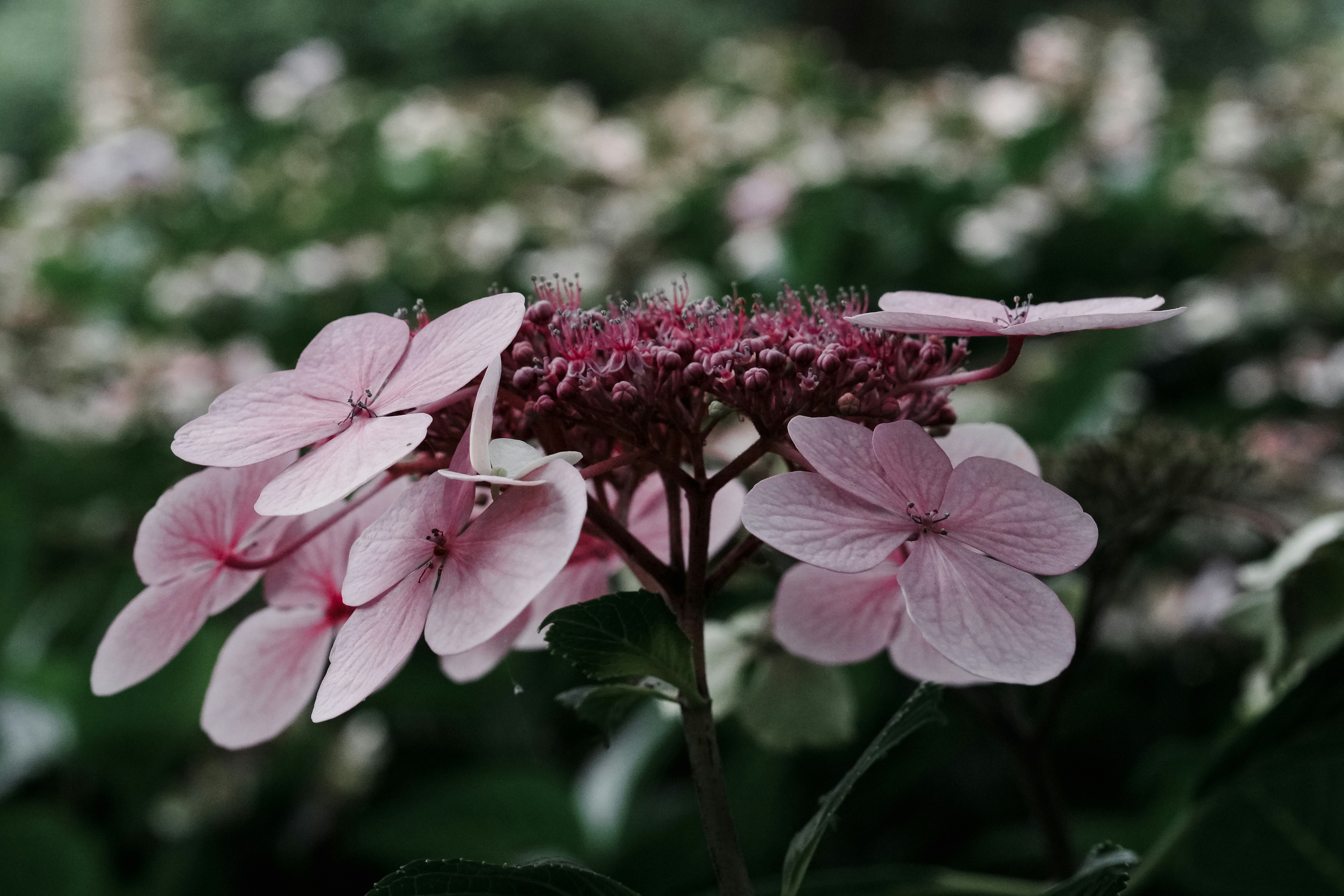 Photo by anyachernykh