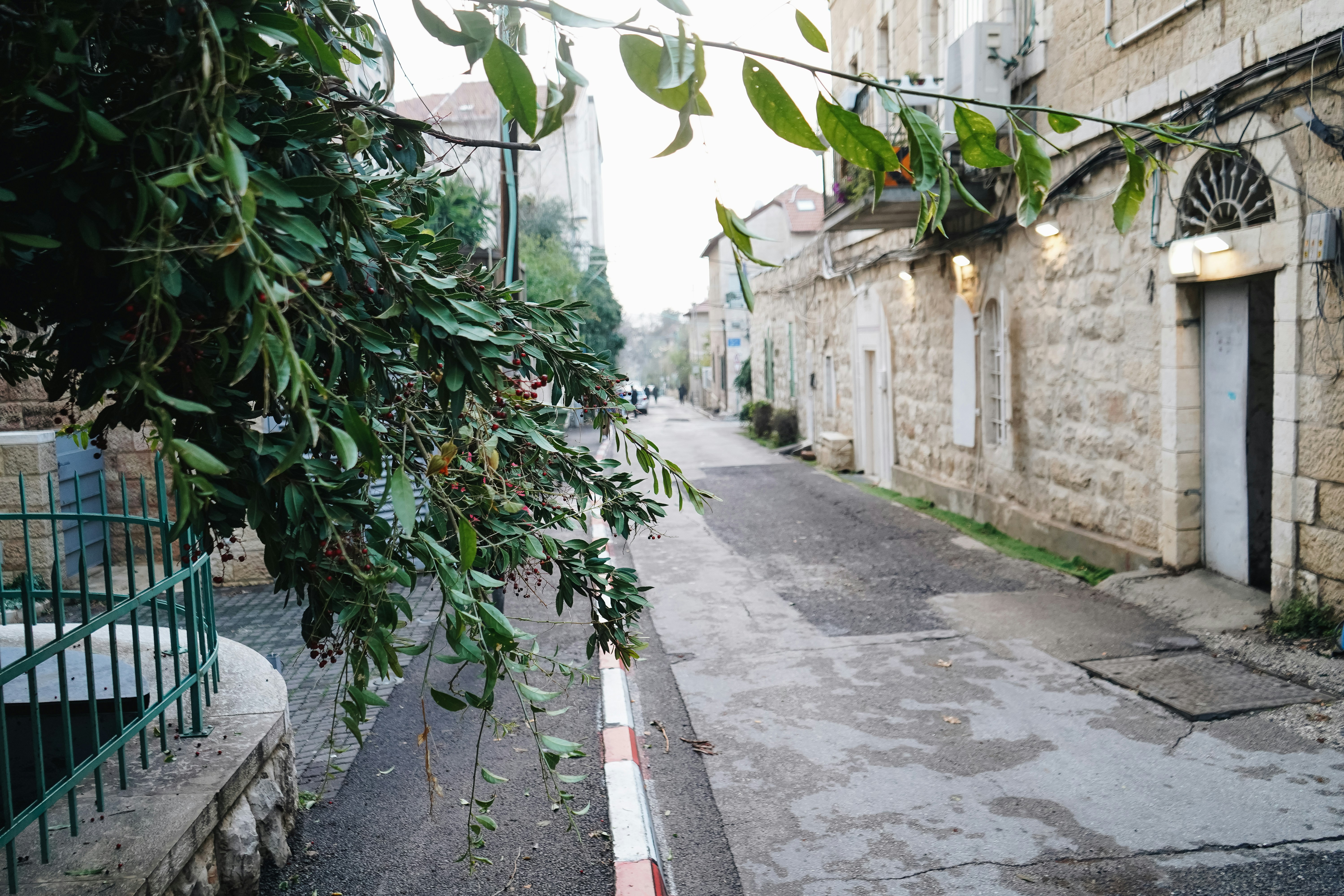 a narrow street with a tree hanging over it