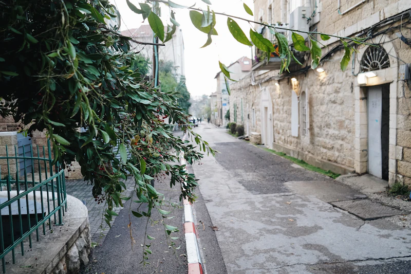 Rue étroite de Jérusalem ombragée par un arbre