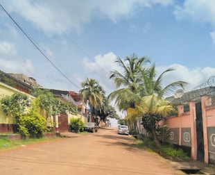 A serene residential neighborhood with palm trees.