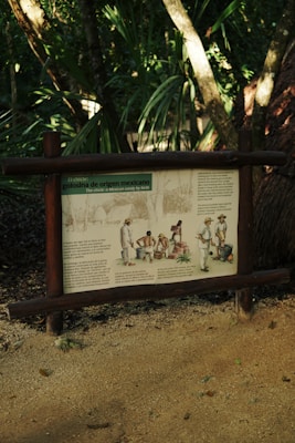A wooden signboard is placed along a forest trail, depicting information about 'El chicle' or 'Mexican candy by birth'. The board includes illustrations of people involved in traditional activities related to the production of chicle. The background is filled with lush green tropical foliage and sunlight filtering through the leaves.