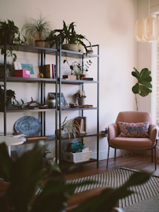 a living room filled with furniture and lots of plants