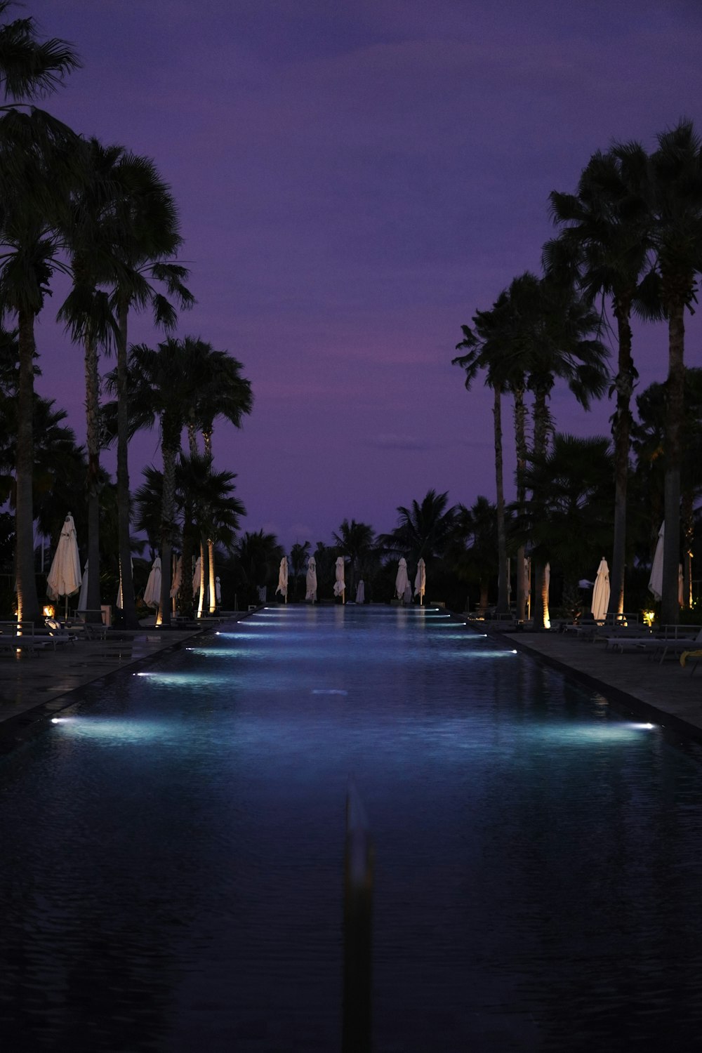 a long pool surrounded by palm trees at night