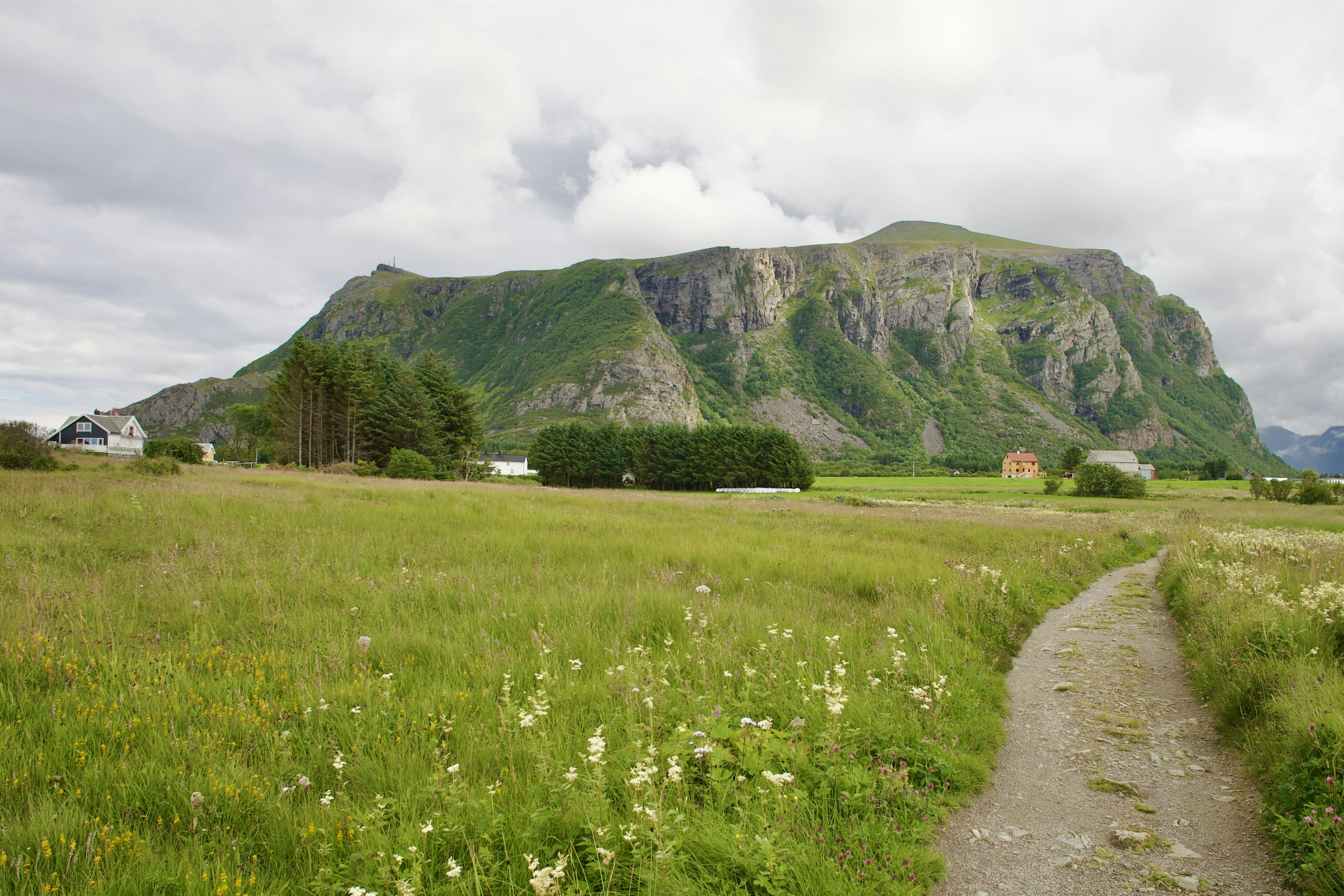 Photo by stockbirken