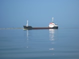 A large cargo ship is floating on calm ocean water with a distant shoreline in the background. The ship has a dark hull, a white superstructure, and some red and blue details. There is a reflection of the ship in the water, contributing to the serene atmosphere of the scene.