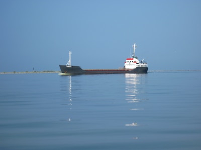 A large cargo ship is floating on calm ocean water with a distant shoreline in the background. The ship has a dark hull, a white superstructure, and some red and blue details. There is a reflection of the ship in the water, contributing to the serene atmosphere of the scene.