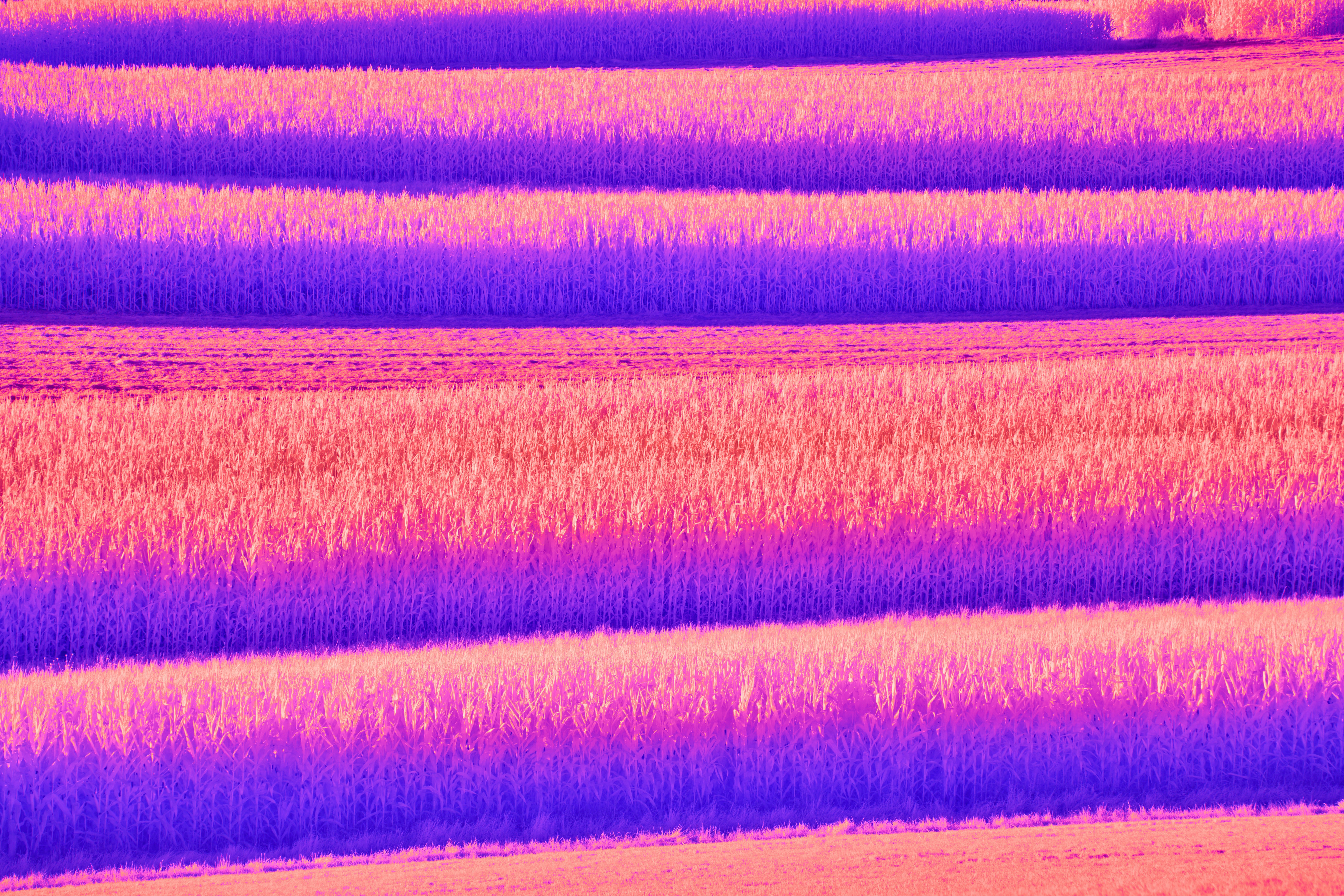 Technological Advancements in Active Harmonic Filters