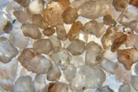 A close-up view of sand grains displaying a variety of shapes and textures. The grains have mostly rounded edges and vary in color from translucent and white to shades of brown.