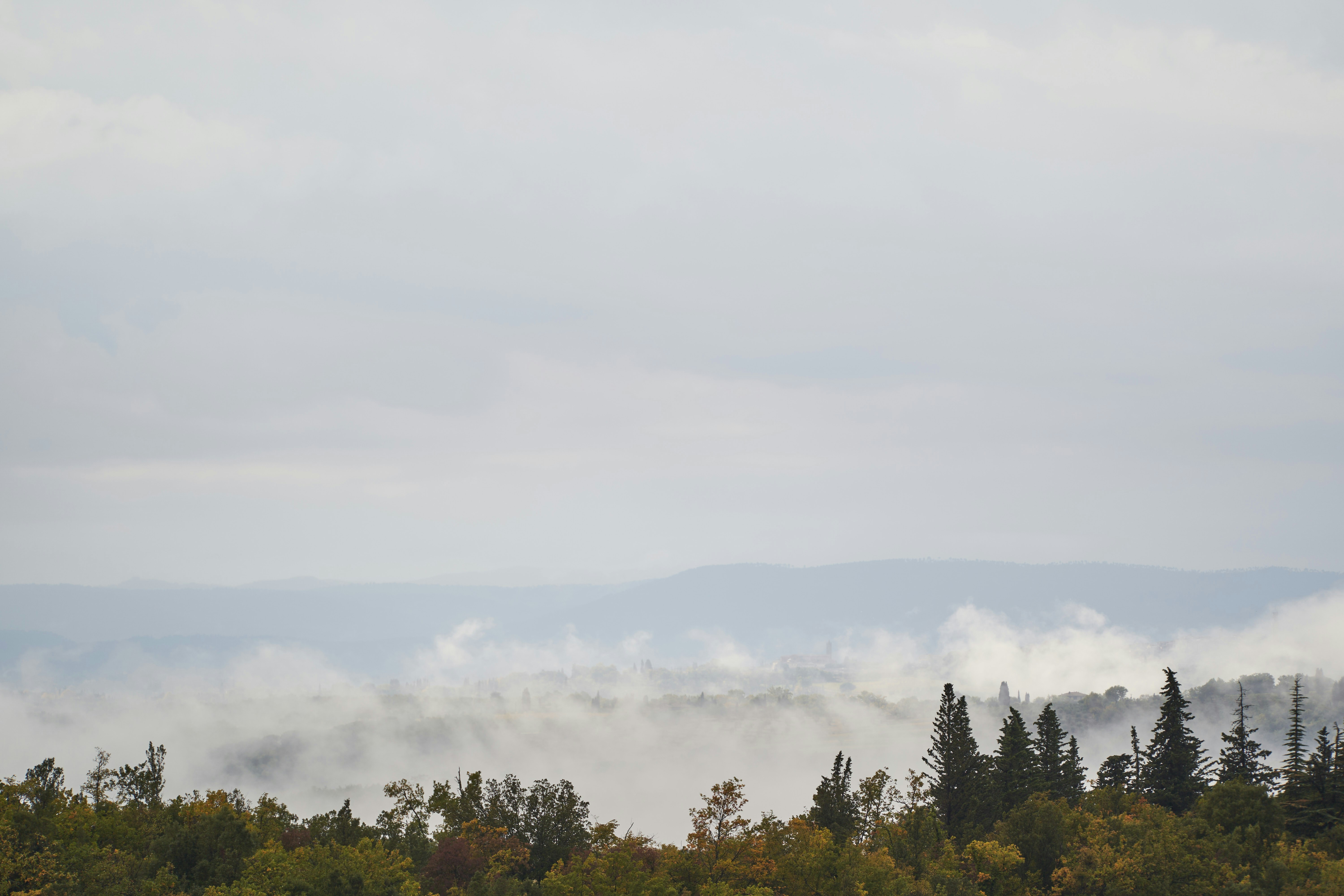 Photo by wolfgang_hasselmann