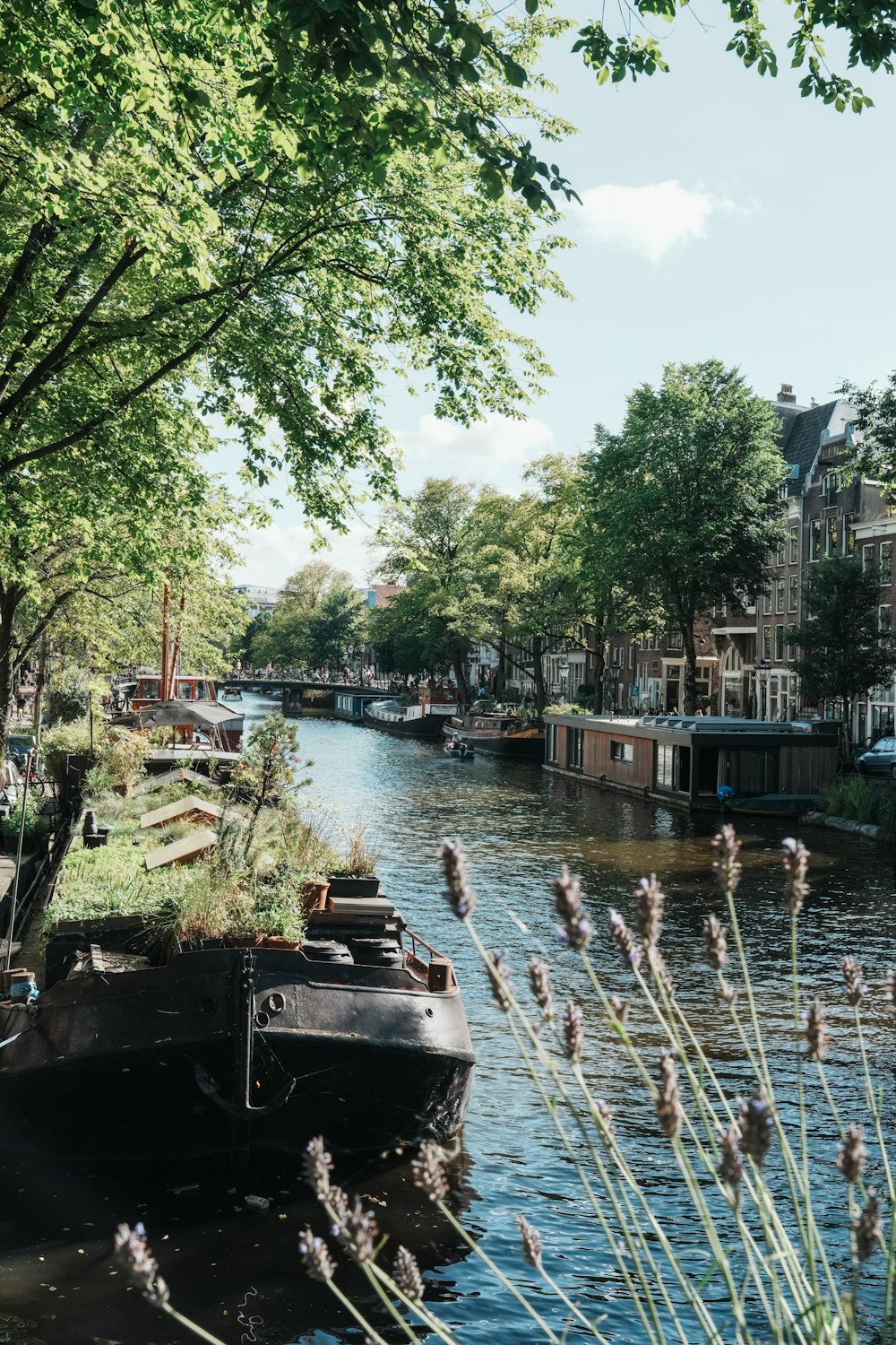 a boat is parked on the side of a river