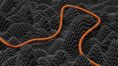 an orange snake is on a black background