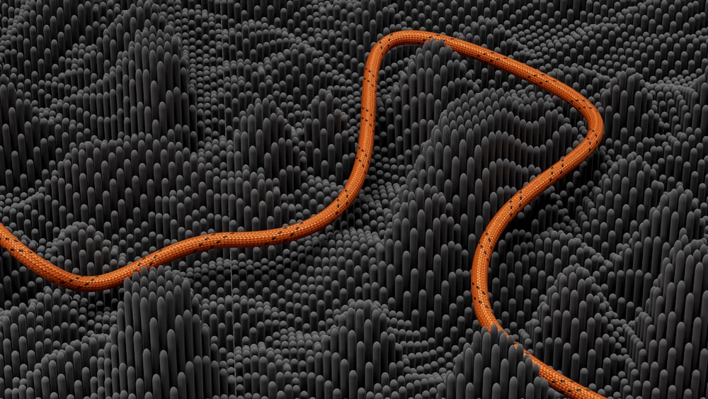 Eine orangefarbene Schlange befindet sich auf schwarzem Hintergrund