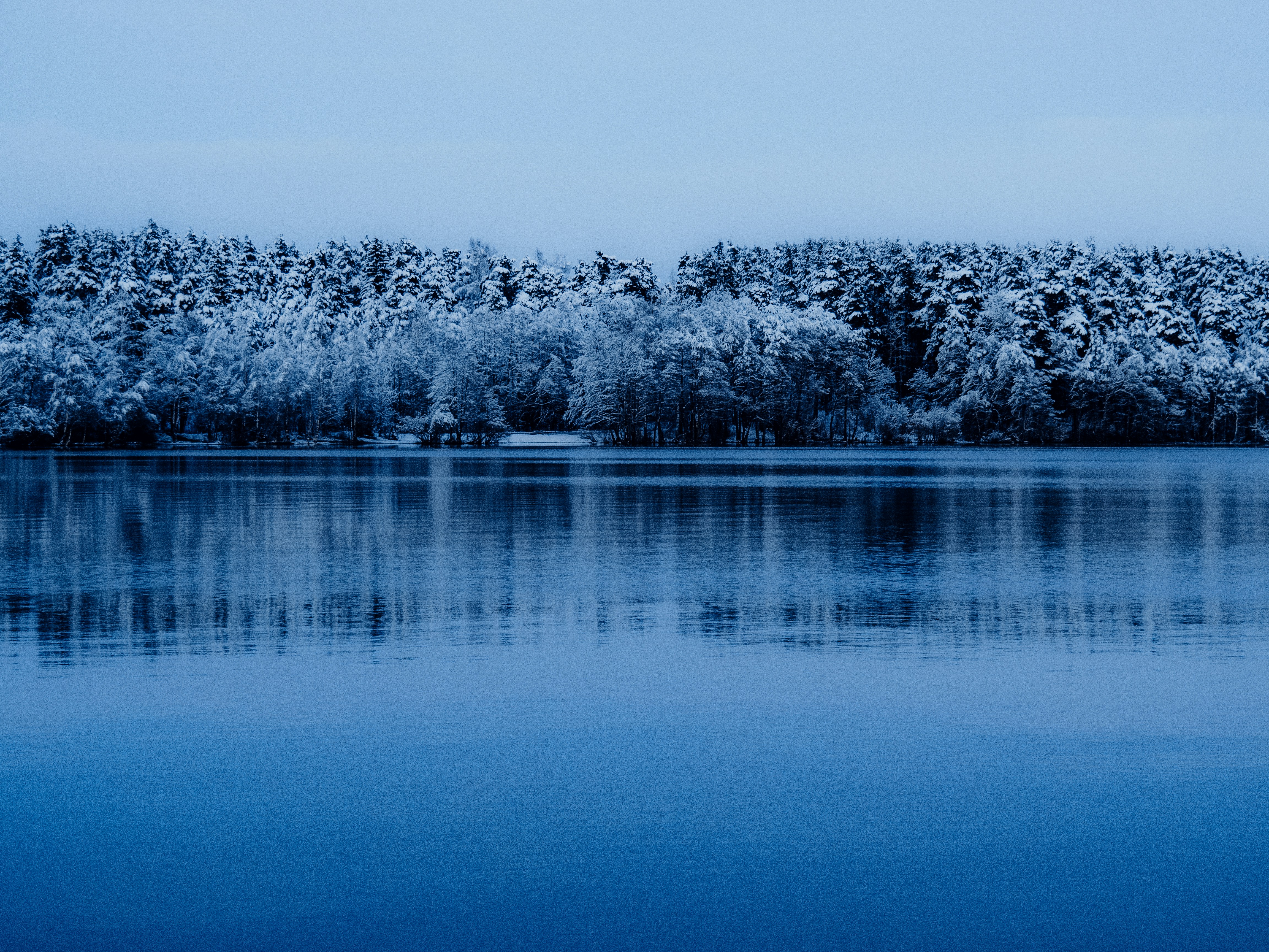 Featured image of post Git使用