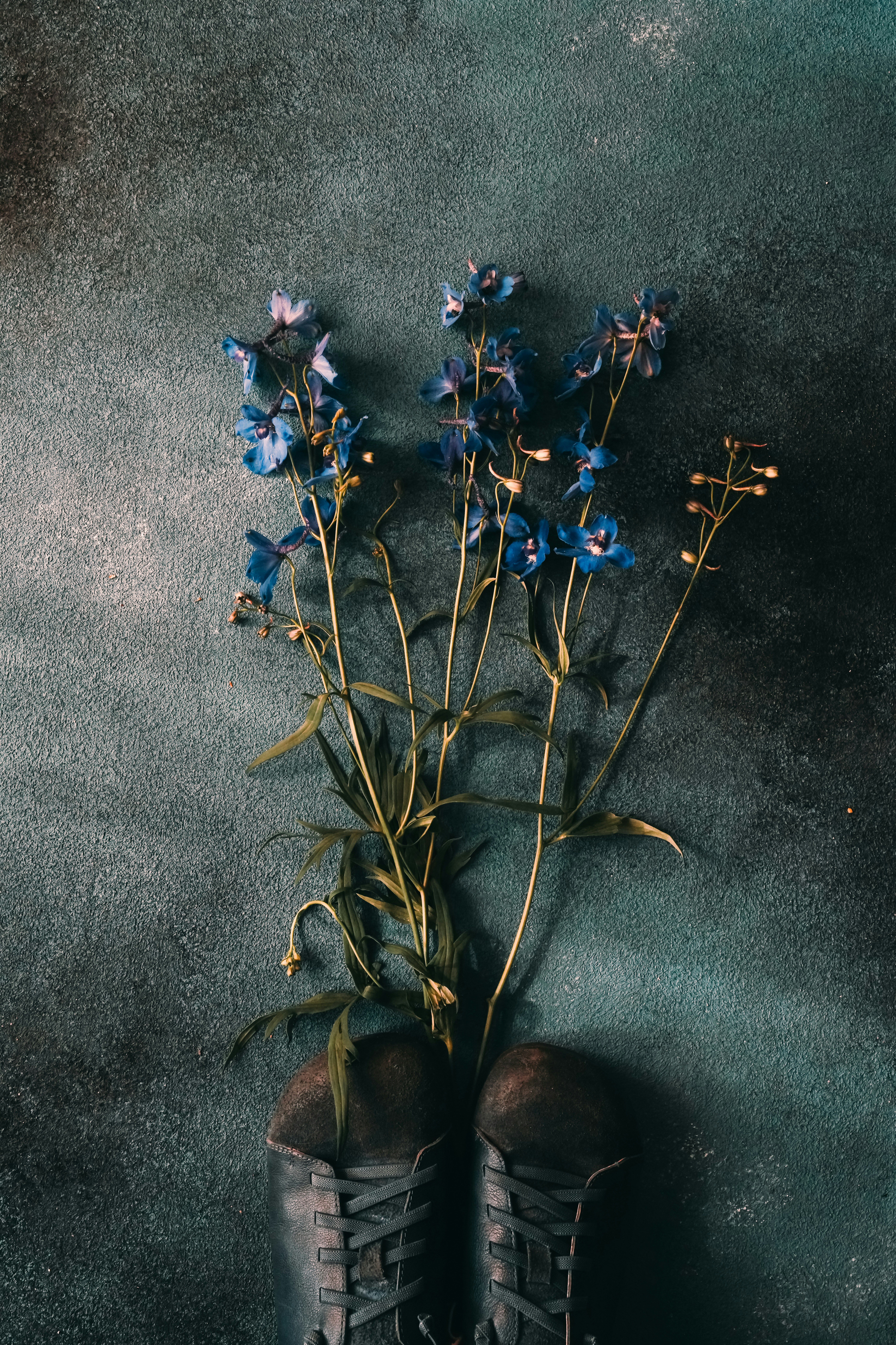 a pair of black boots with blue flowers in them