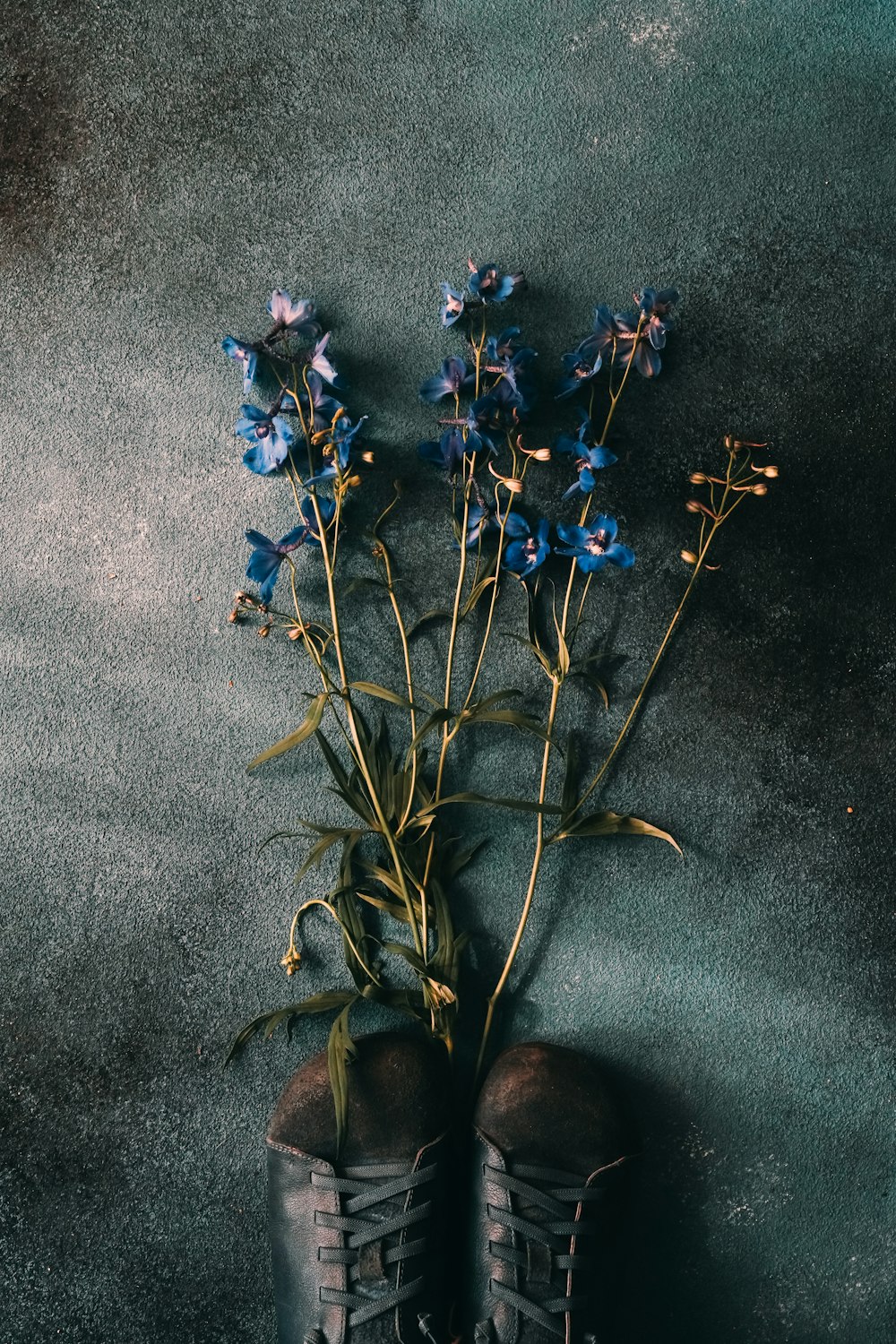 a pair of black boots with blue flowers in them