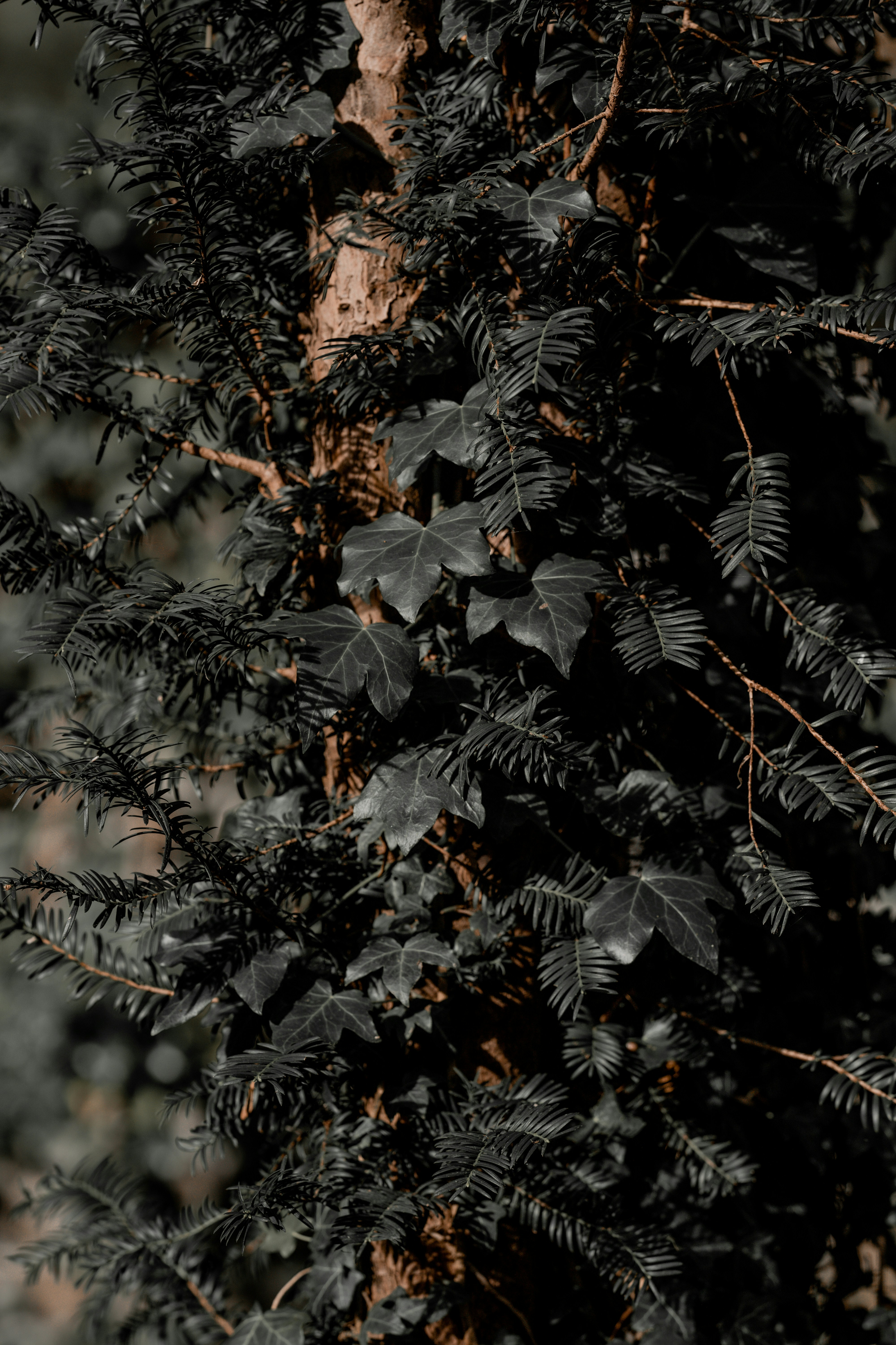 Photo by omarvellous14