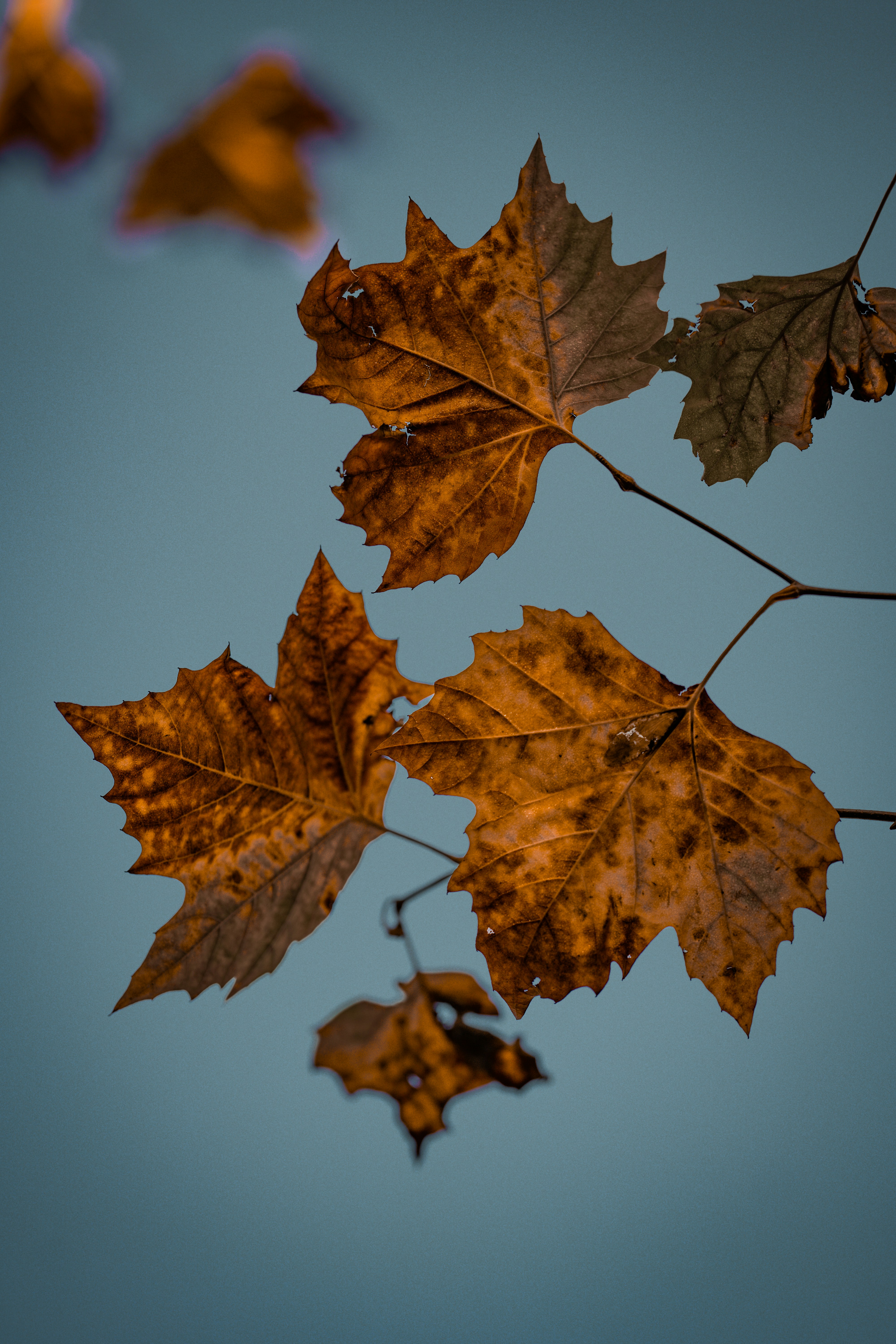 Photo by omarvellous14