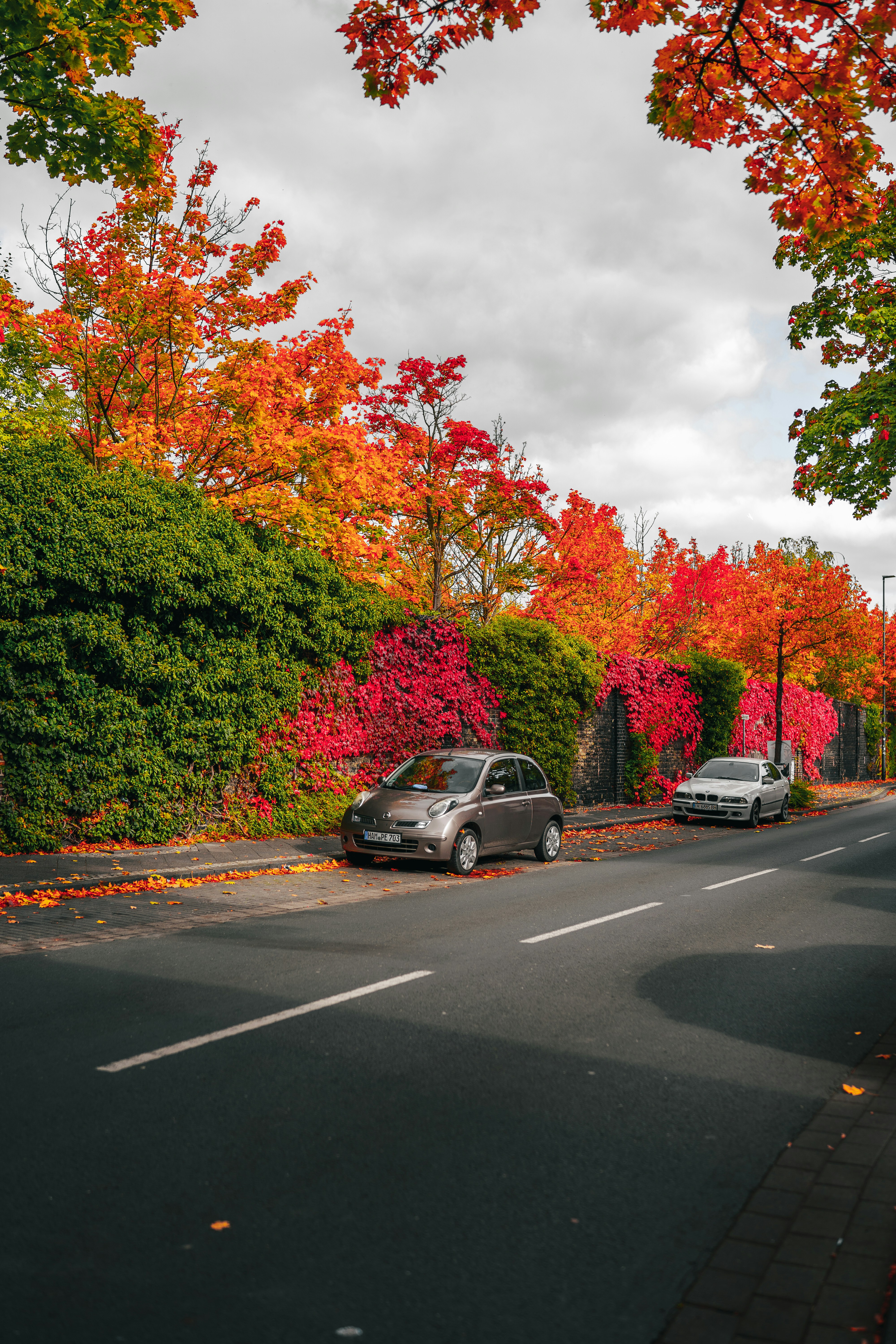 Photo by omarvellous14