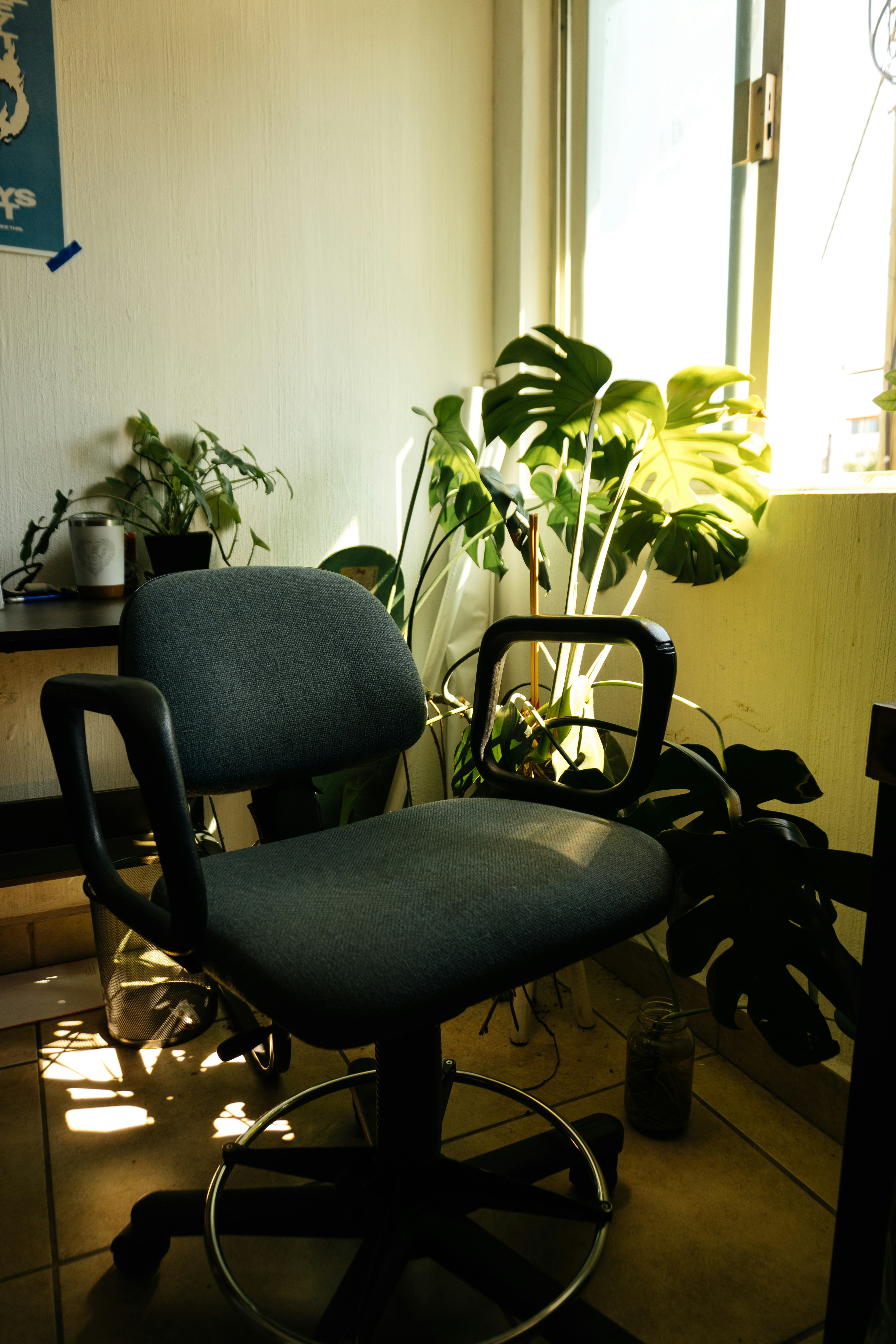 Dr. Emily Carter, PhD