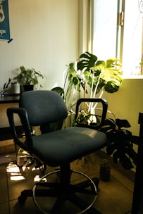 a chair sitting in front of a window next to a potted plant
