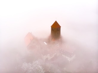 a castle in the middle of a foggy forest