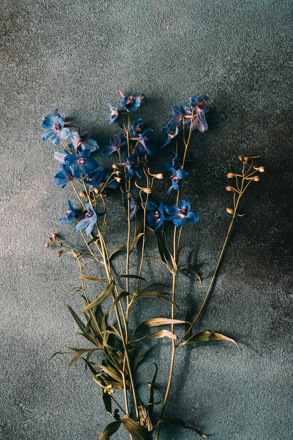 un mazzo di fiori blu seduto sopra un tavolo