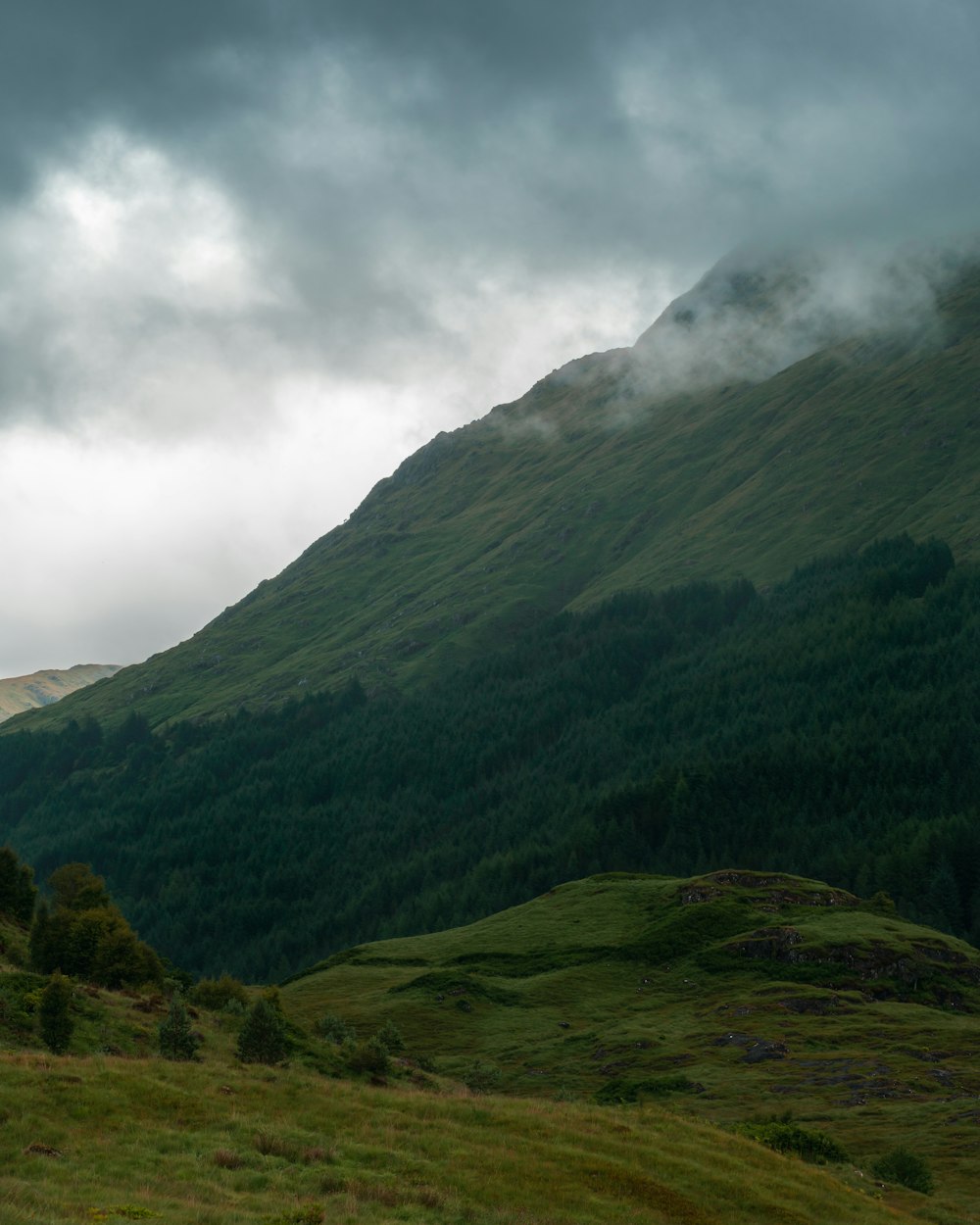 a grassy field with a mountain in the background