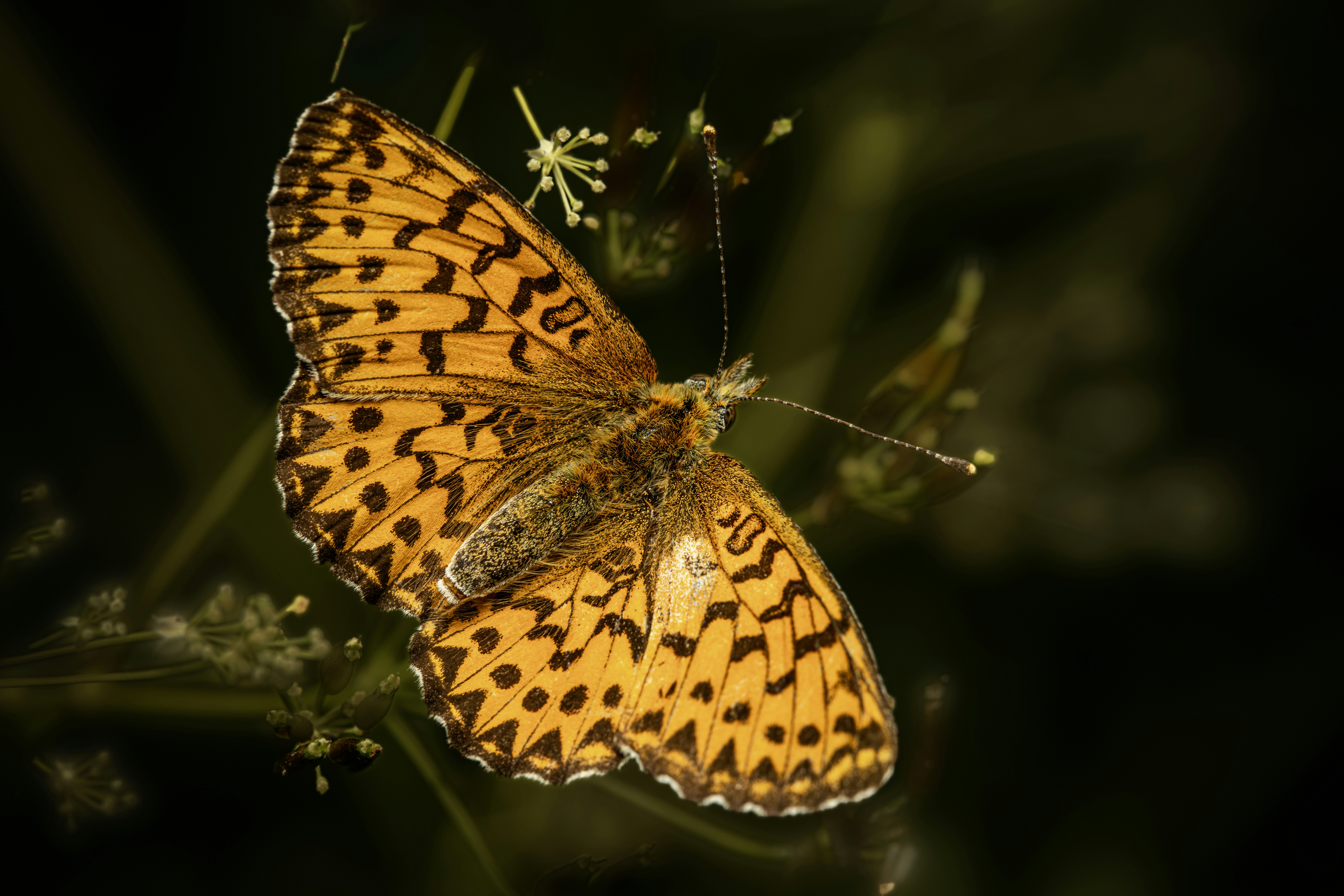 Photo by erik_karits