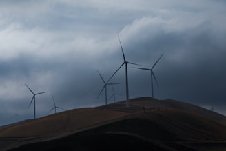 Large wind turbines are standing on rolling hills under a cloudy sky. The landscape is expansive, with the turbines evenly spaced across the terrain, suggesting a focus on renewable energy.