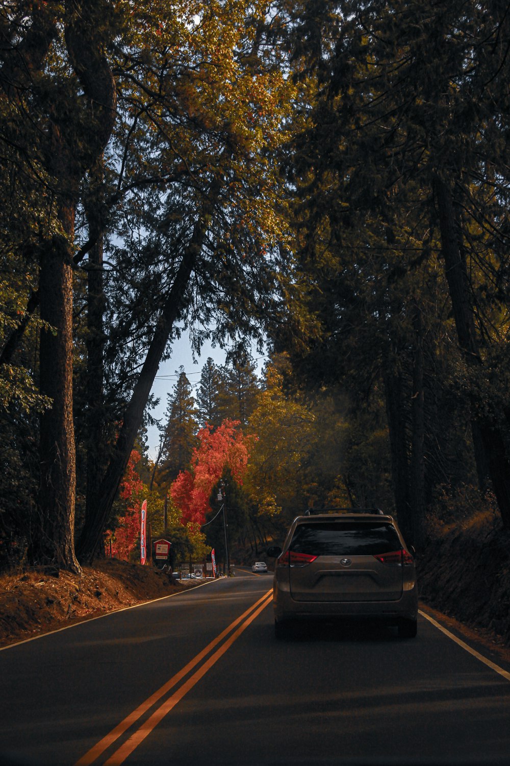 a car driving down a road surrounded by trees