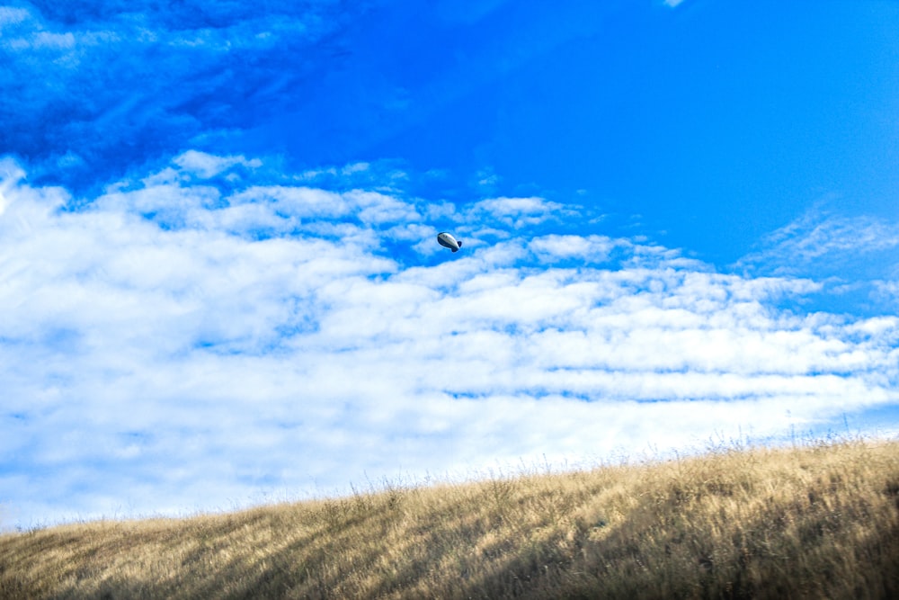 a bird flying in the sky over a dry grass field
