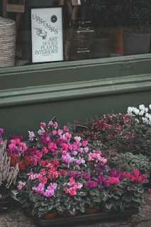 A storefront display featuring vibrant flowers, predominantly in shades of pink and magenta, arranged in pots outside a shop. Above the flowers is a framed sign indicating that upstairs there are art, books, plants, and interiors available.