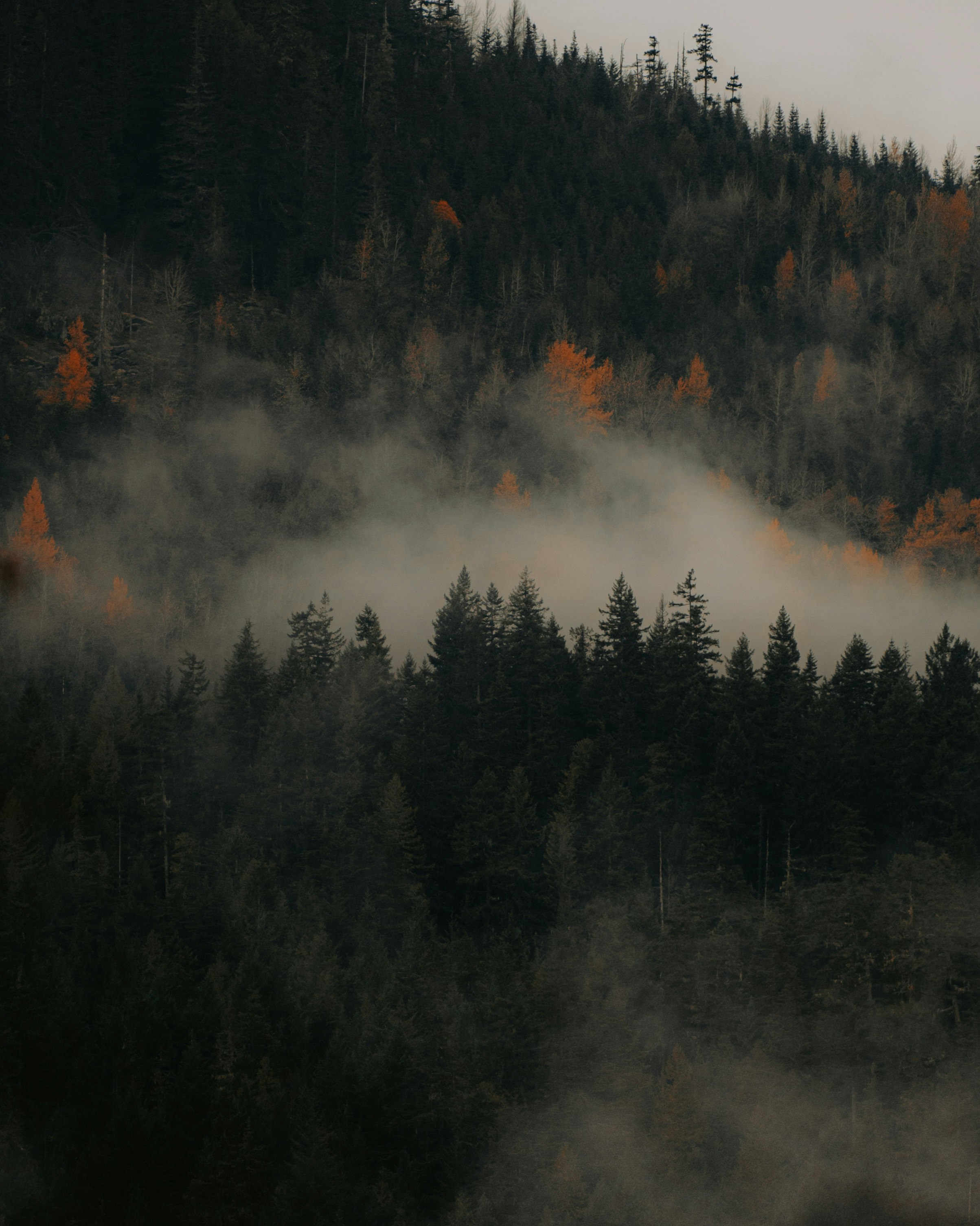 Photo by bylukemiller