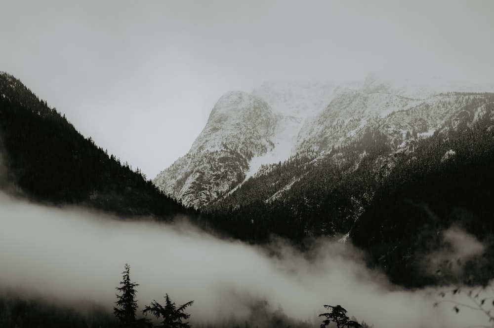안개에 뒤덮인 산의 흑백 사진