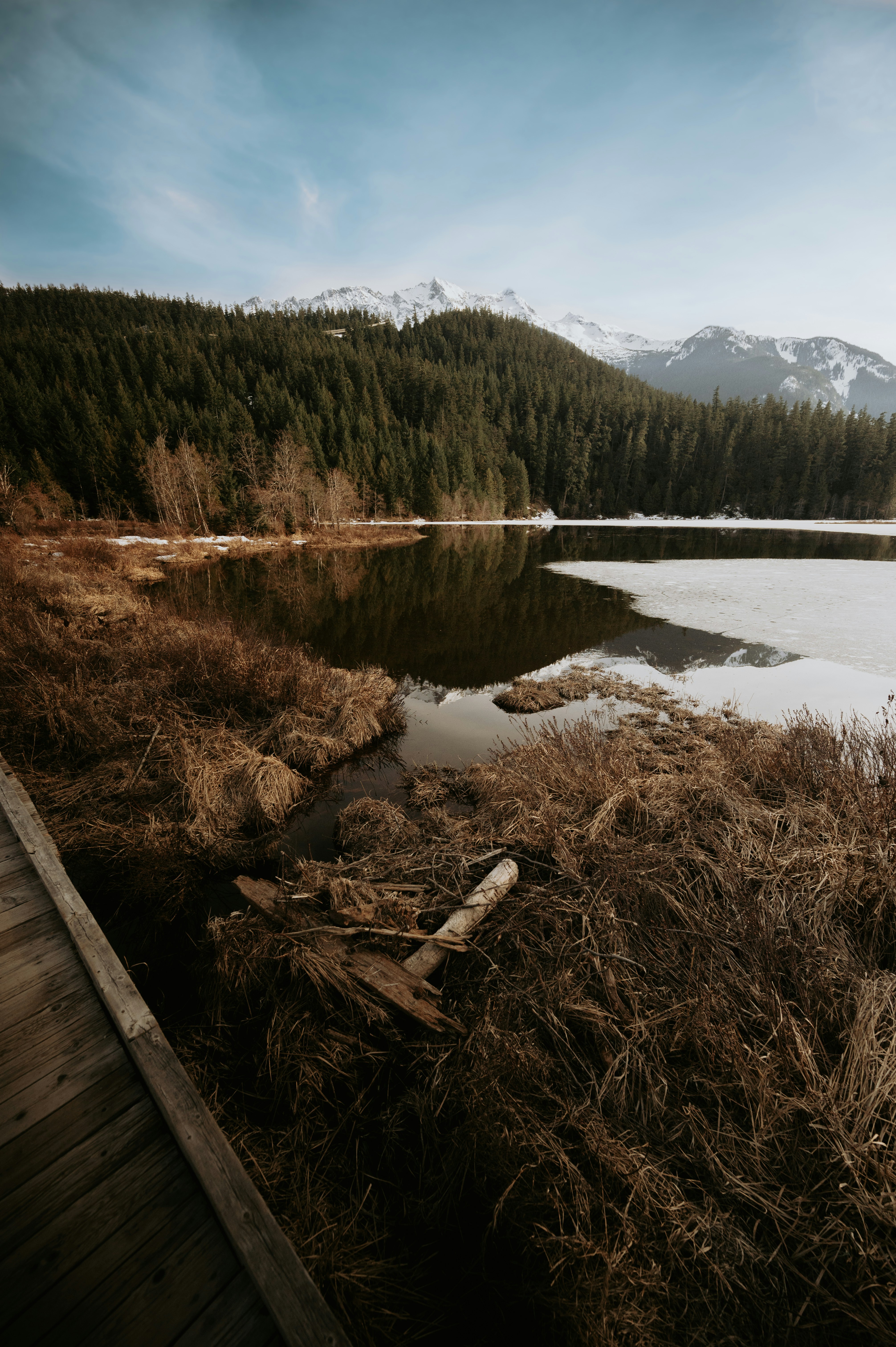 a body of water surrounded by a forest