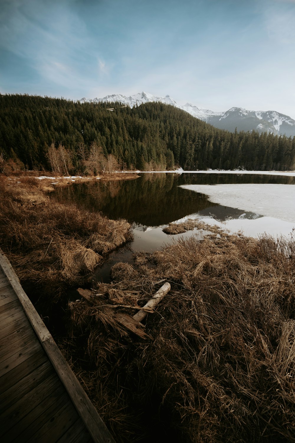 a body of water surrounded by a forest