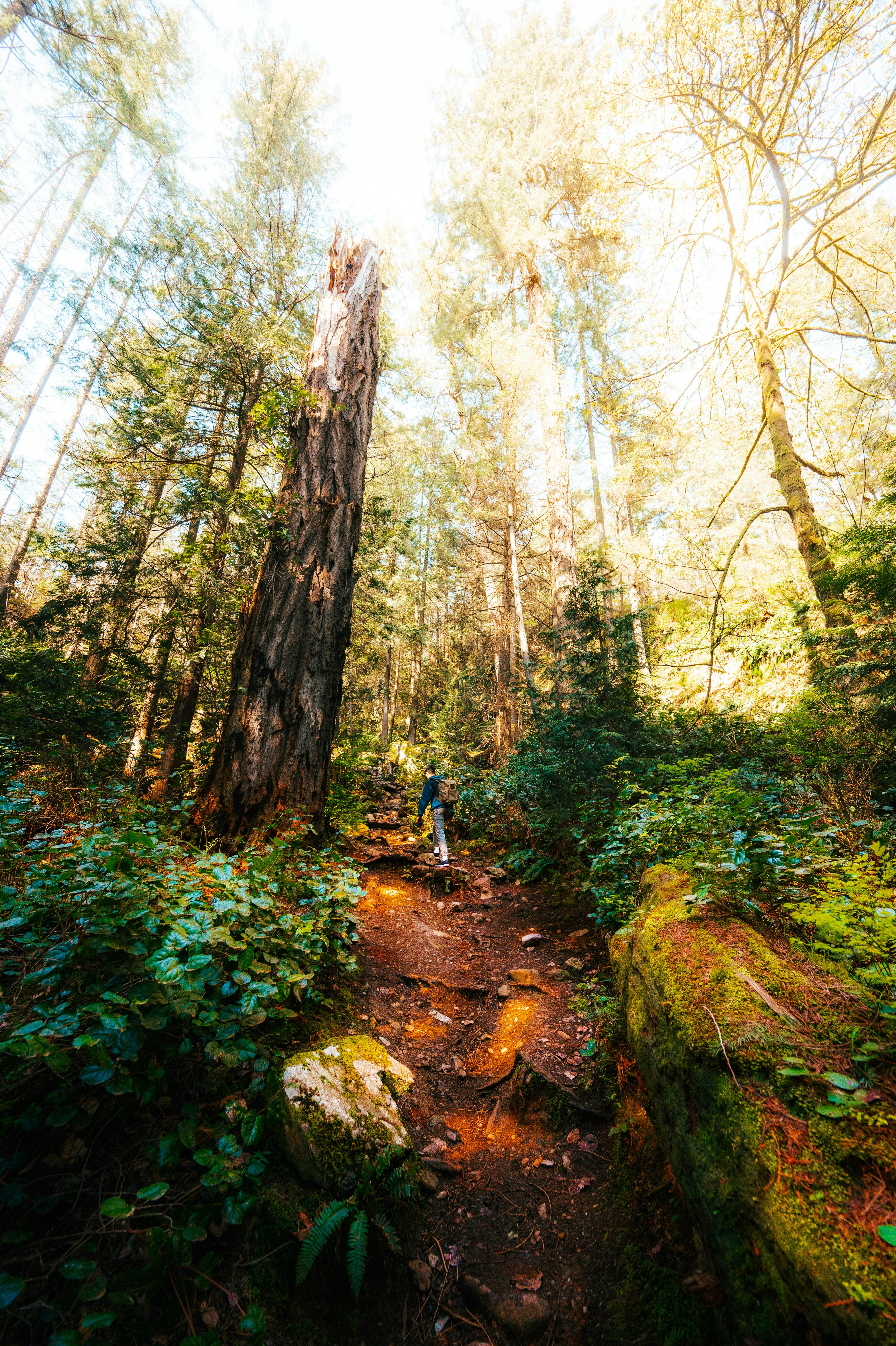 Photo by bylukemiller