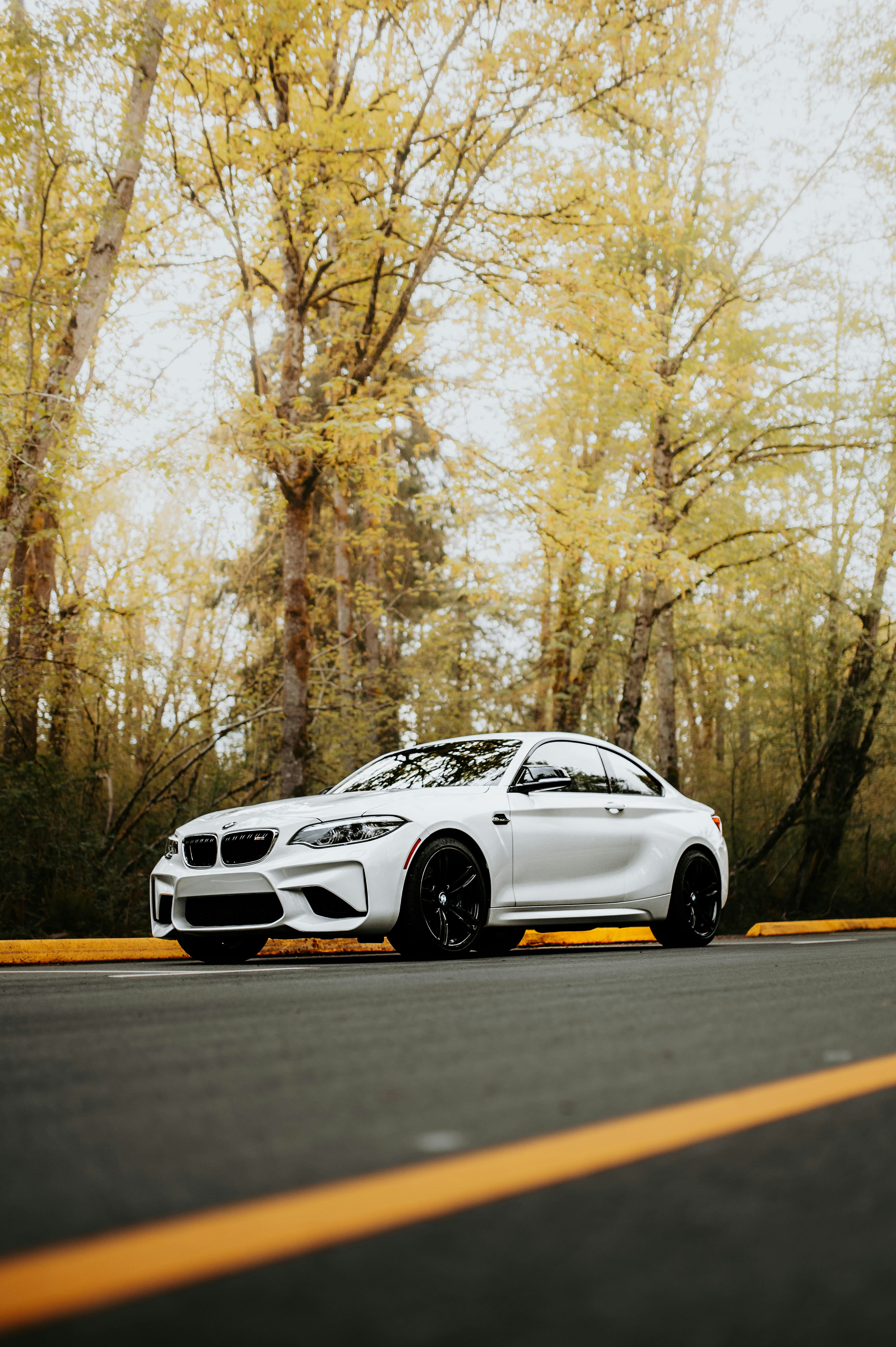 A white car driving down a road next to a forest photo – Free Vehicle ...
