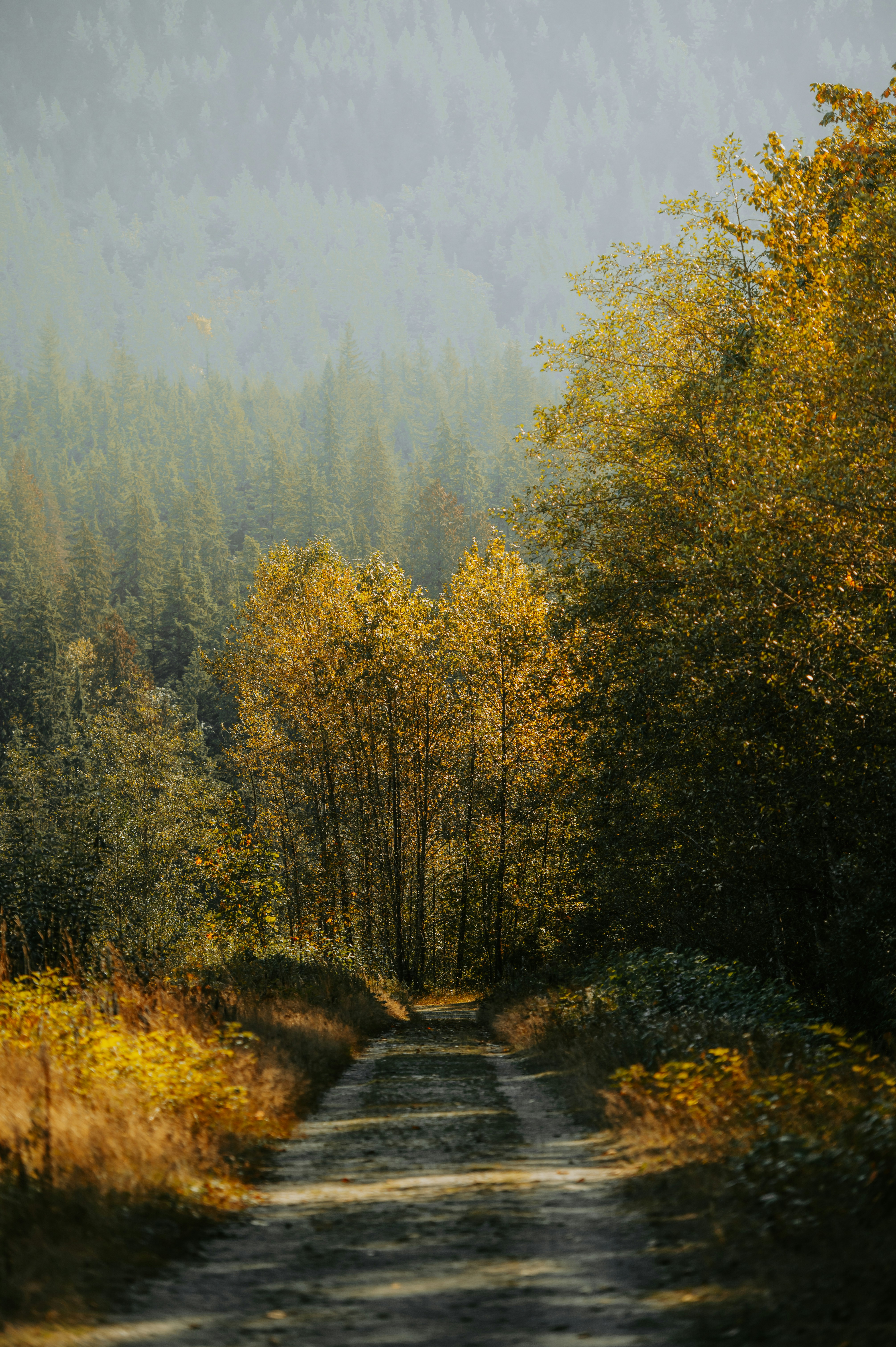 Photo by bylukemiller