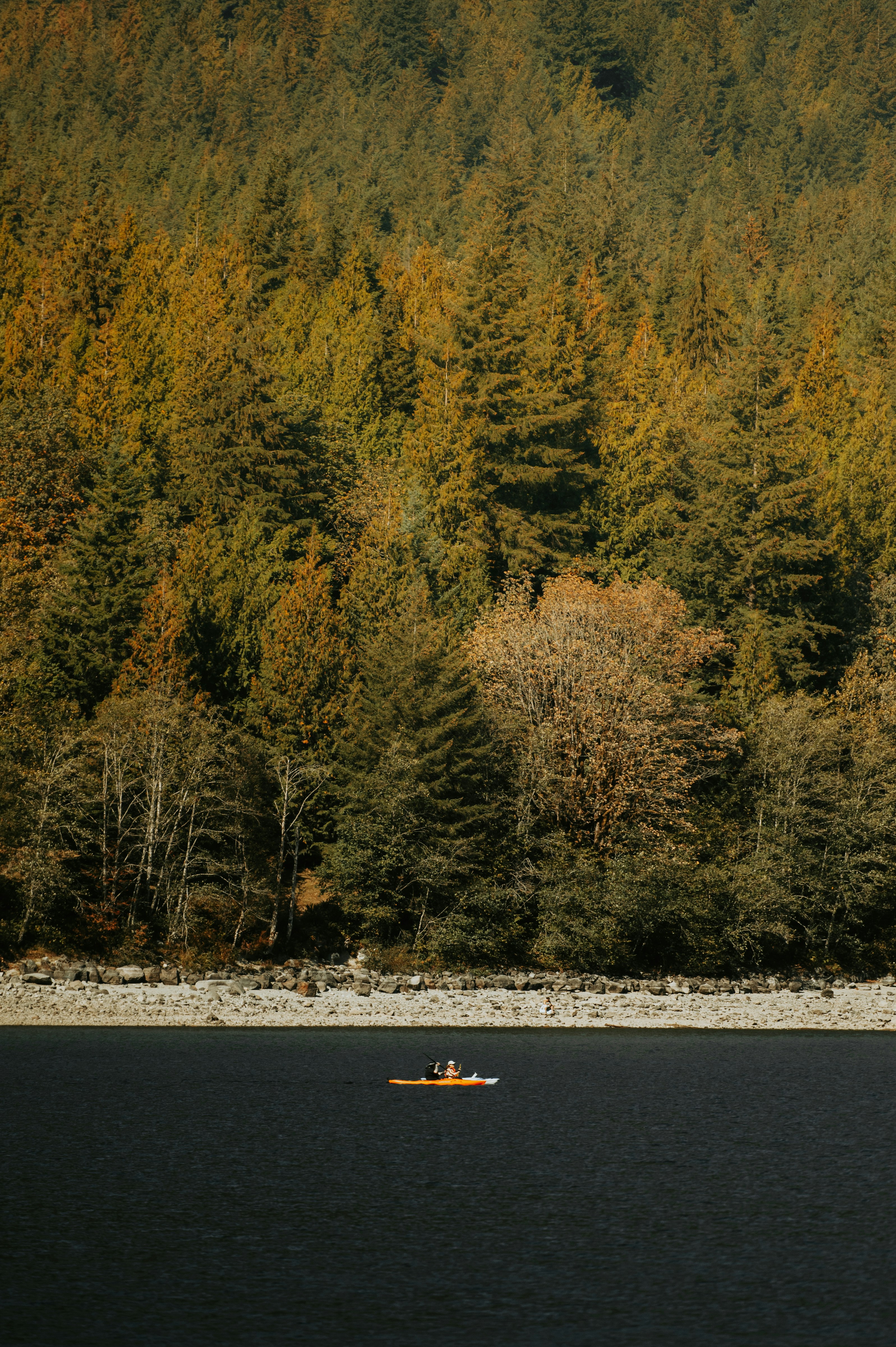 Photo by bylukemiller