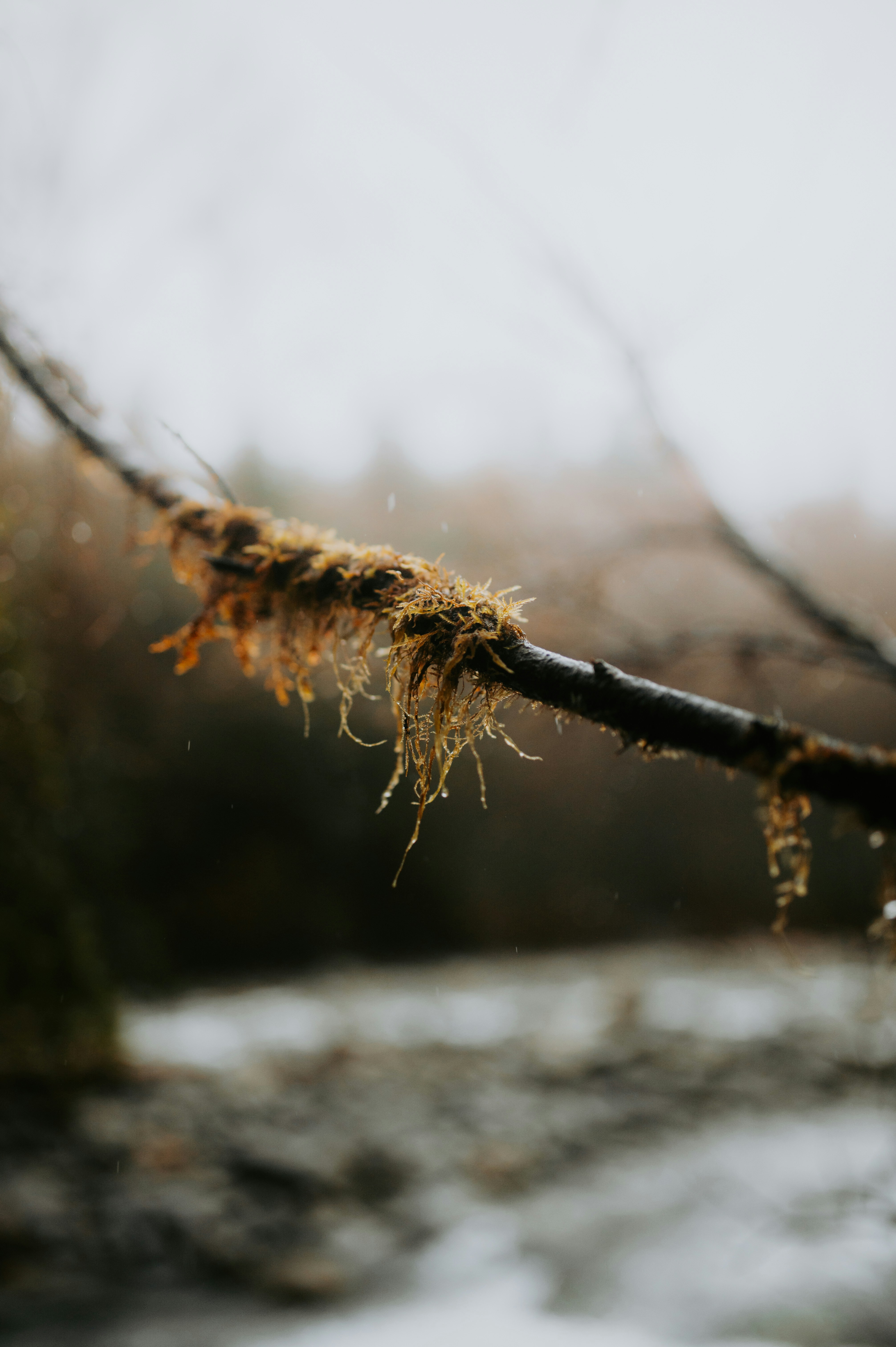 Photo by bylukemiller