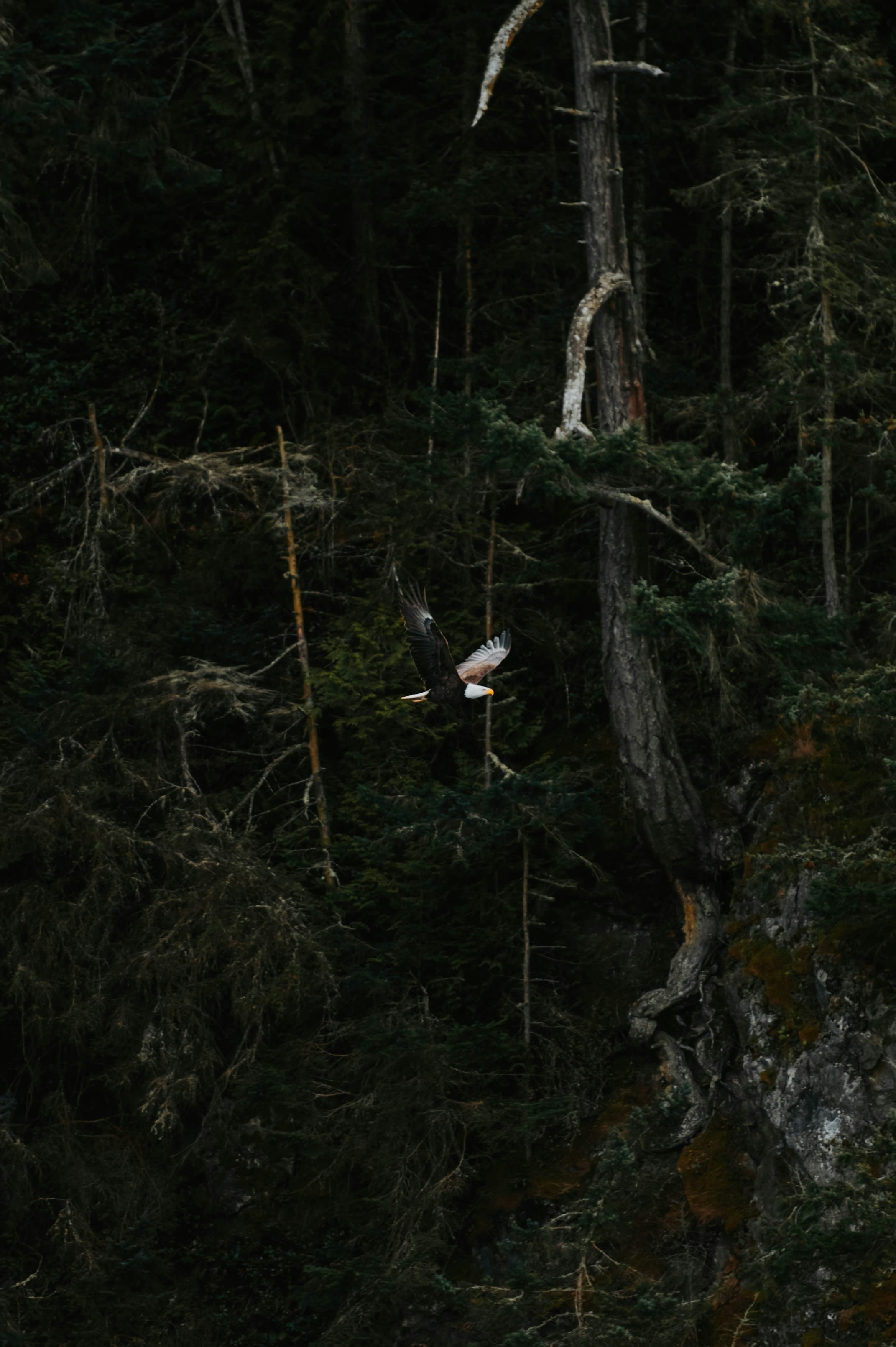 Photo by bylukemiller